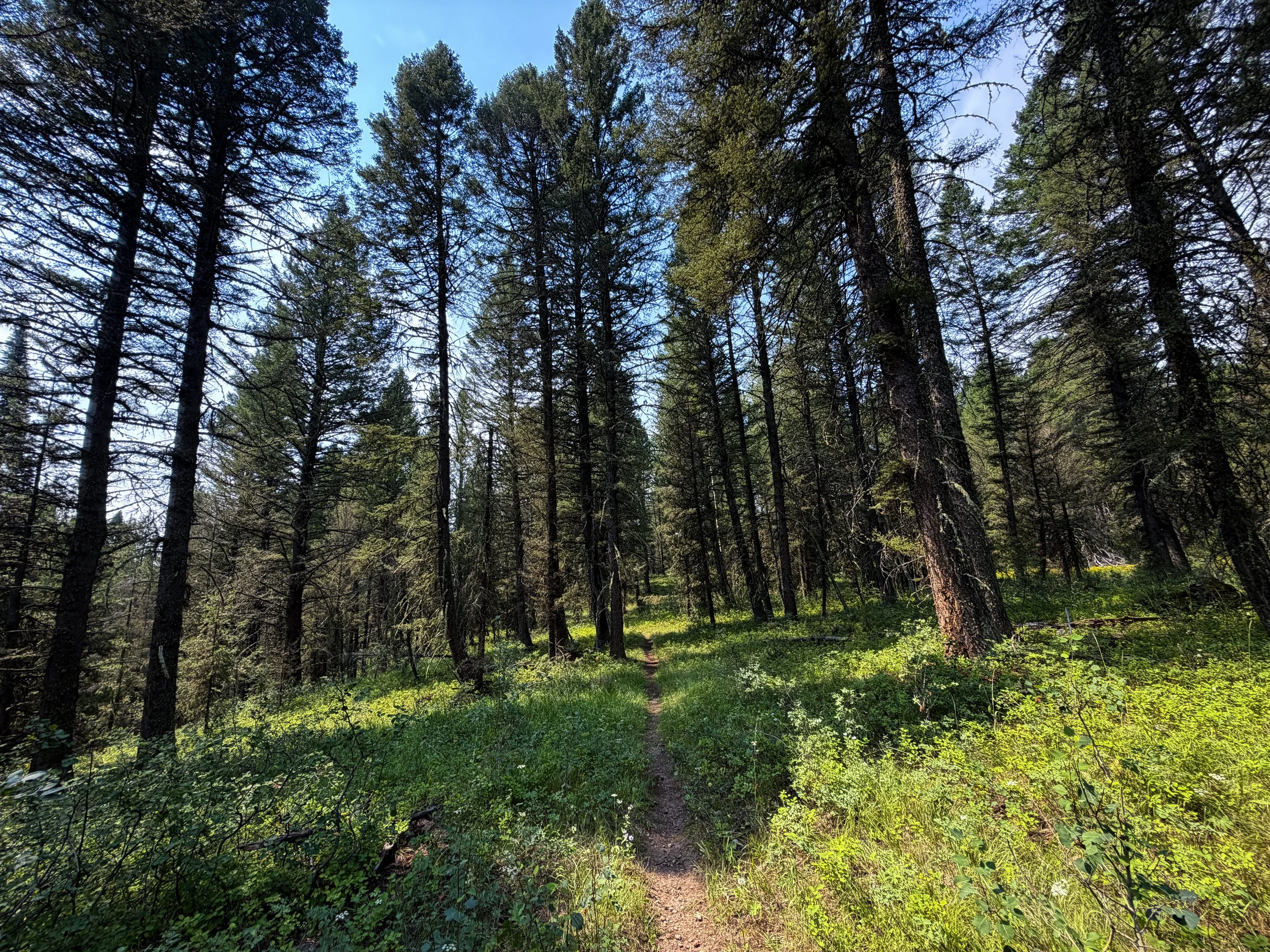 Boulder Ridge Trail Grand Teton National Park Wyoming