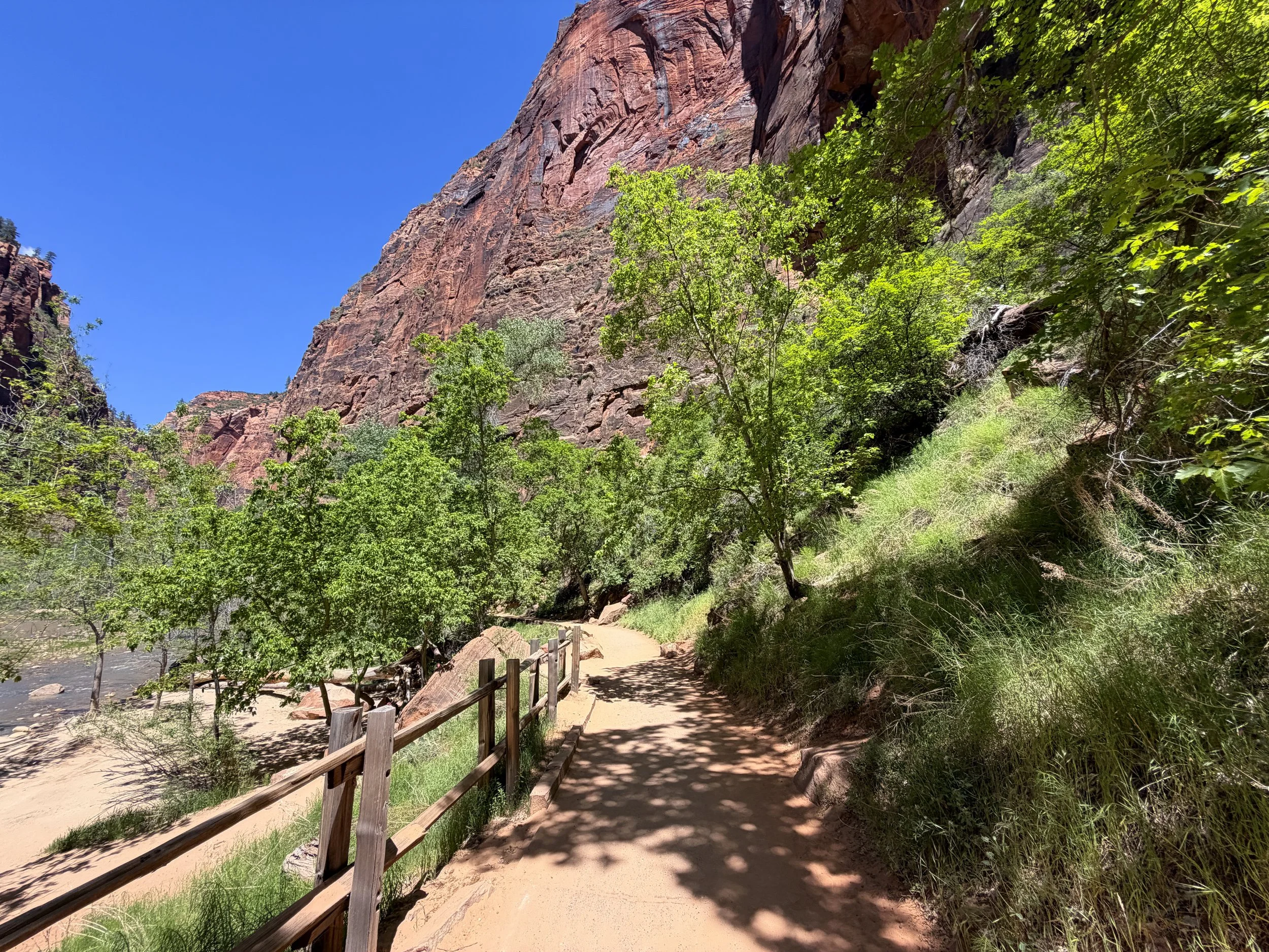 Riverside Walk Trail Zion National Park Utah