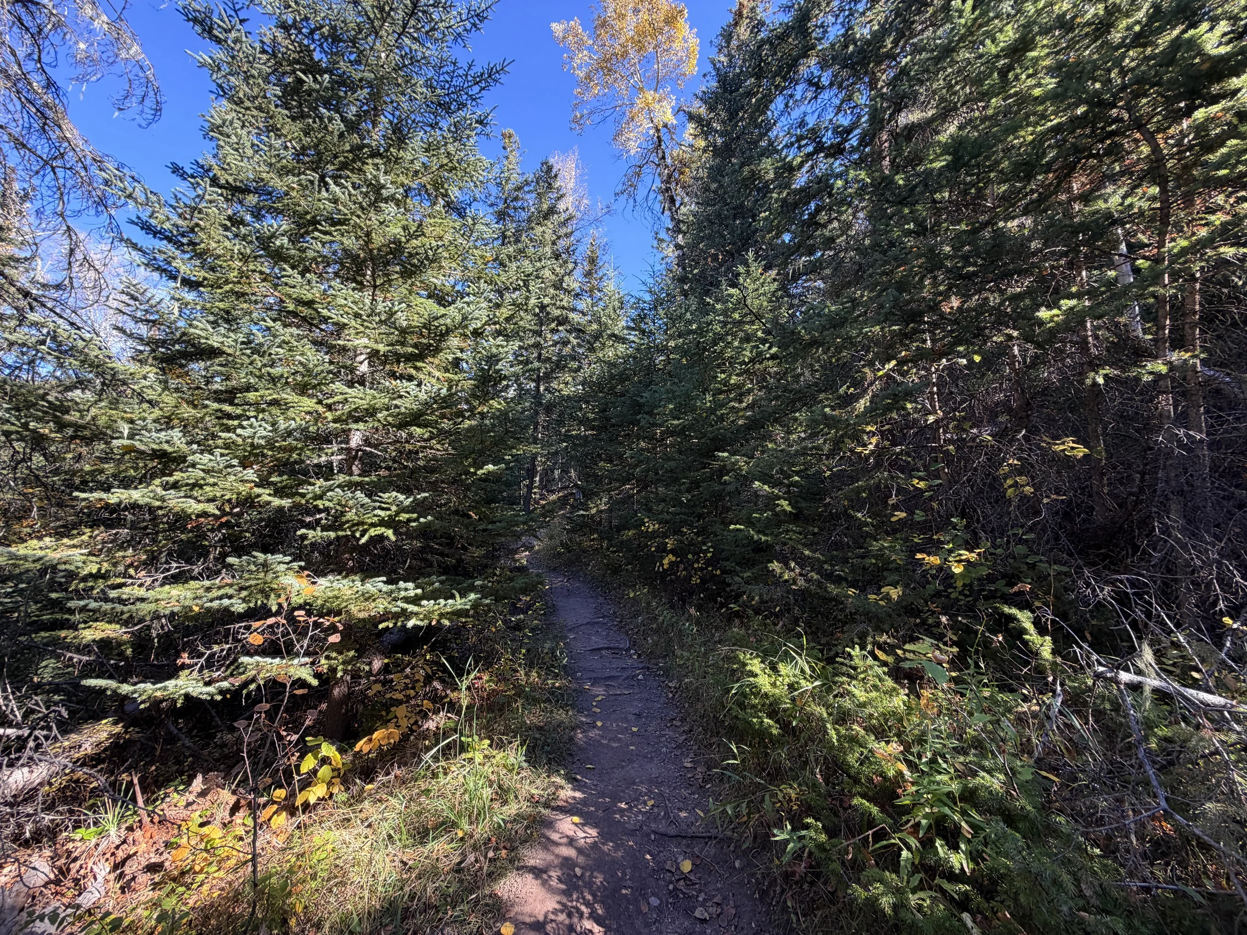 Sunday Gulch Hike Custer State Park Black Hills South Dakota