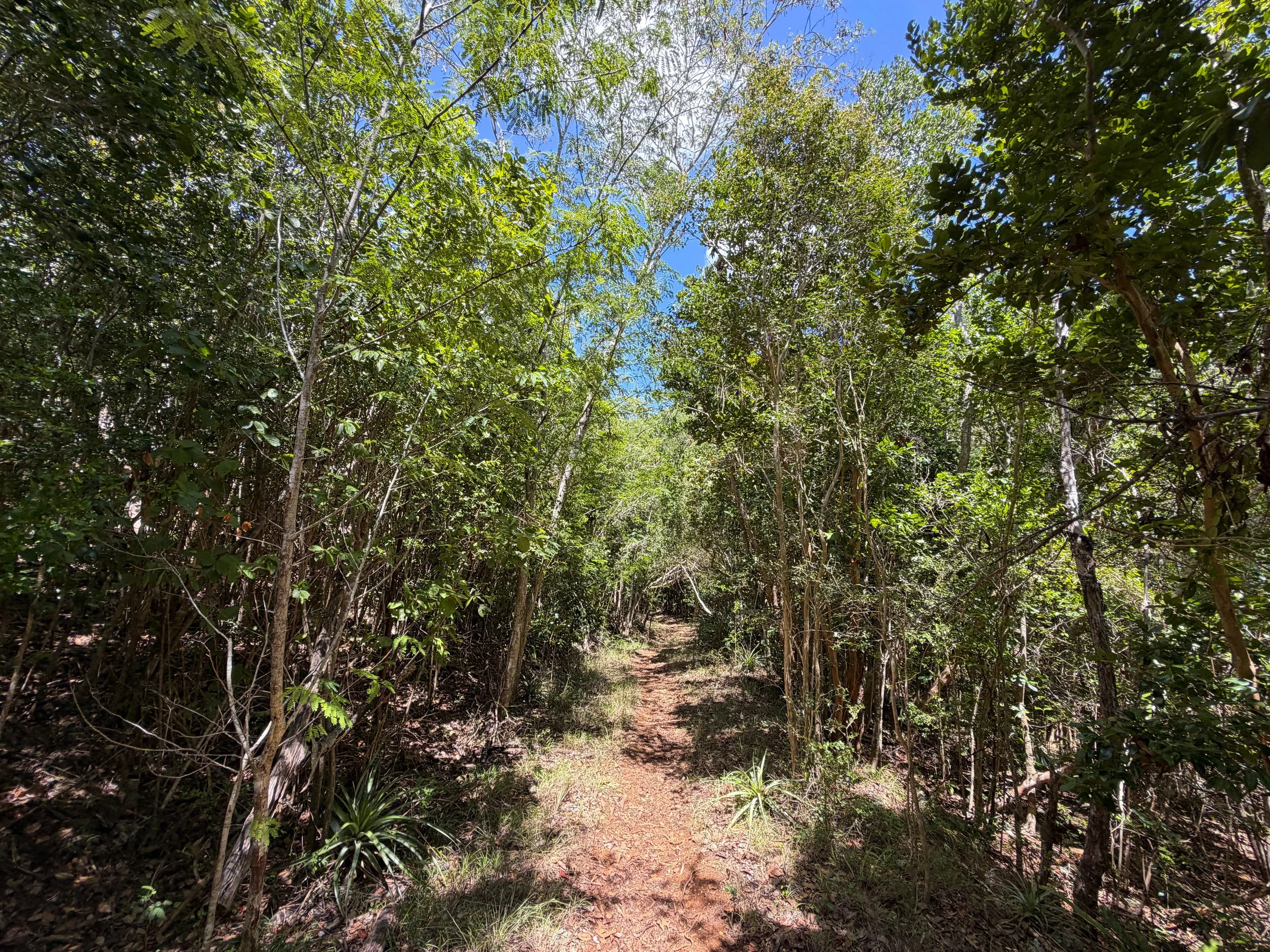 L'Esperance Trail to Reef Bay Virgin Islands National Park