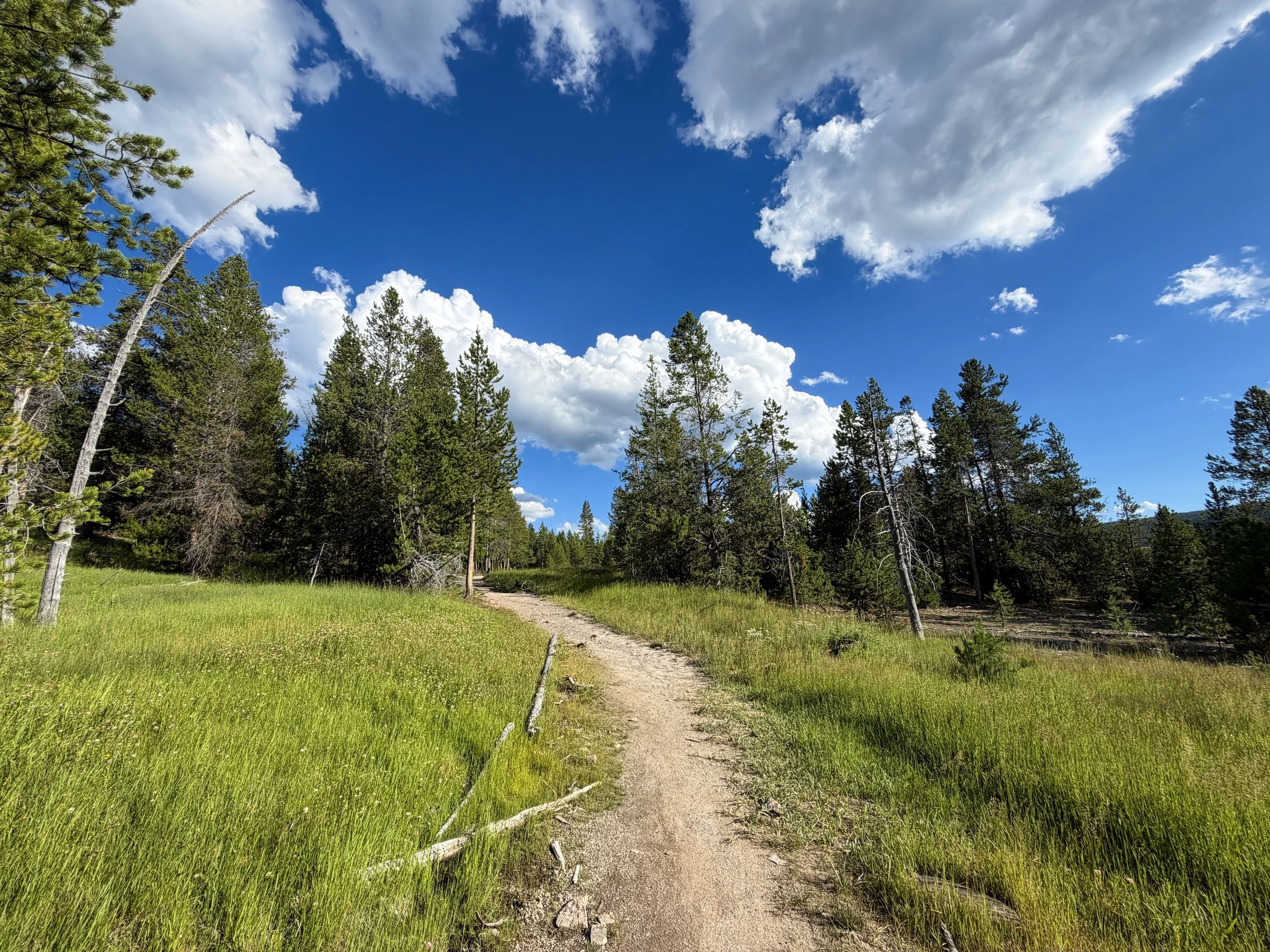 Artemisia Trailhead to the Morning Glory Pool Yellowstone National Park Wyoming