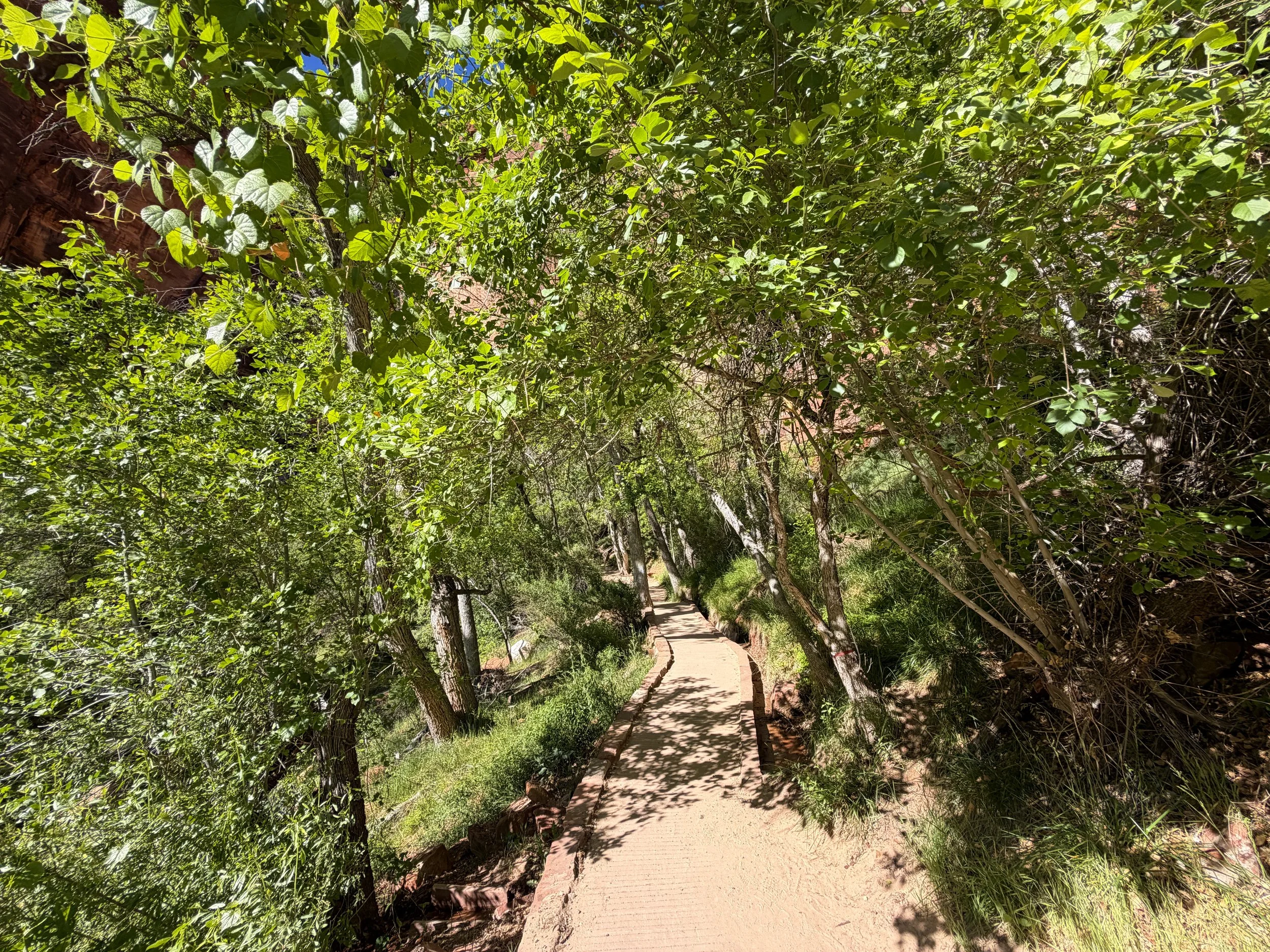 Weeping Rock Trail Zion National Park Utah