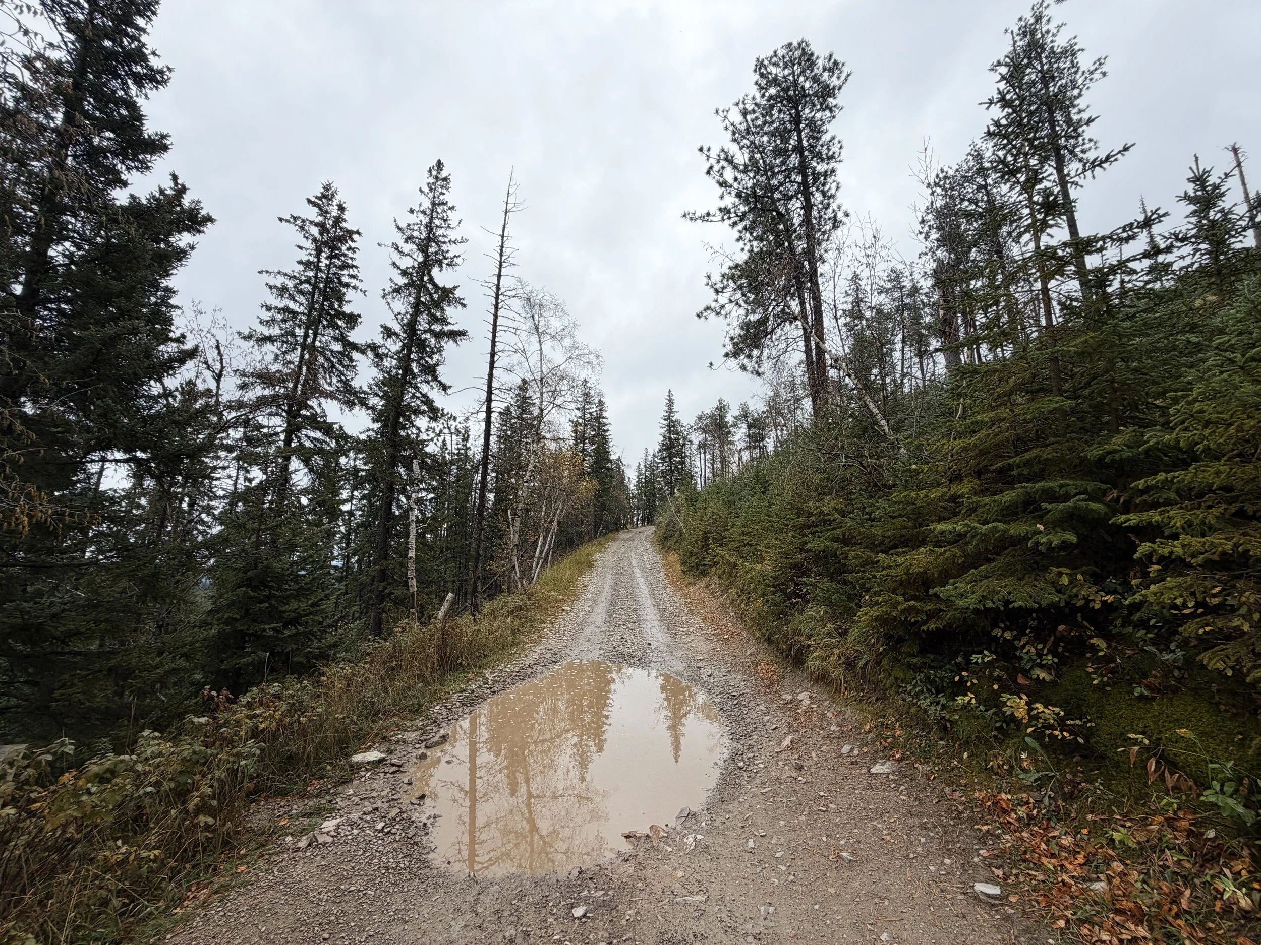 Custer Peak Lookout Hike Black Hills South Dakota