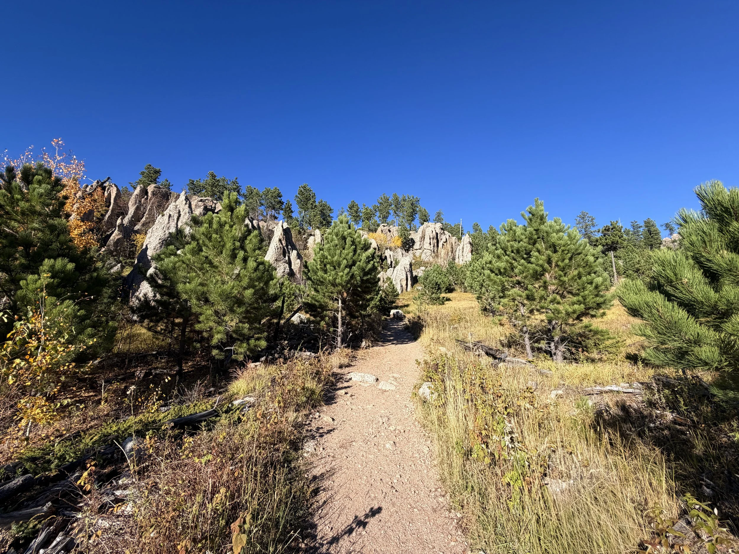 Little Devils Tower Trail Custer State Park Black Hills South Dakota