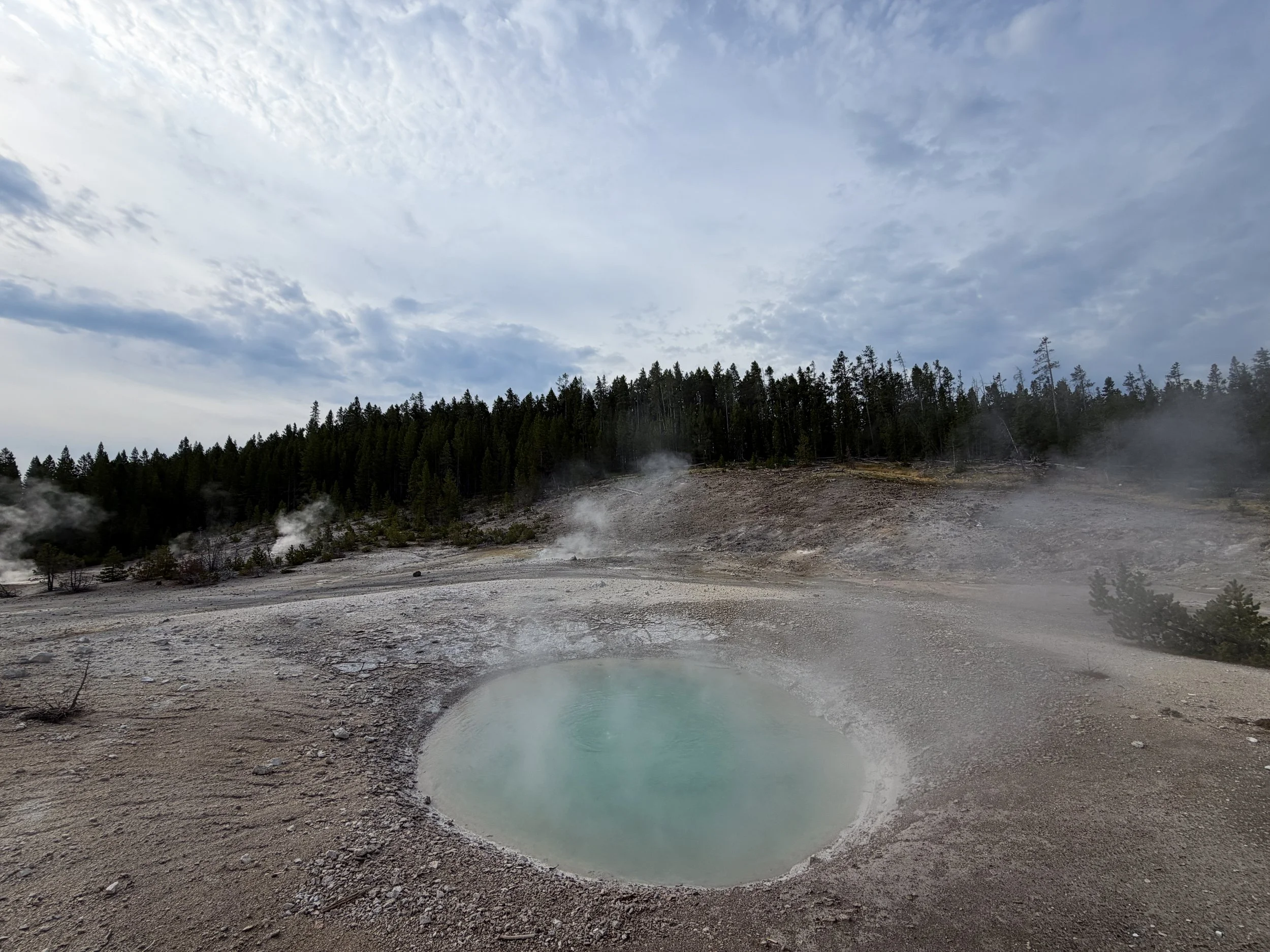 Congress Pool Norris Geyser Basin Trail Yellowstone National Park Wyoming