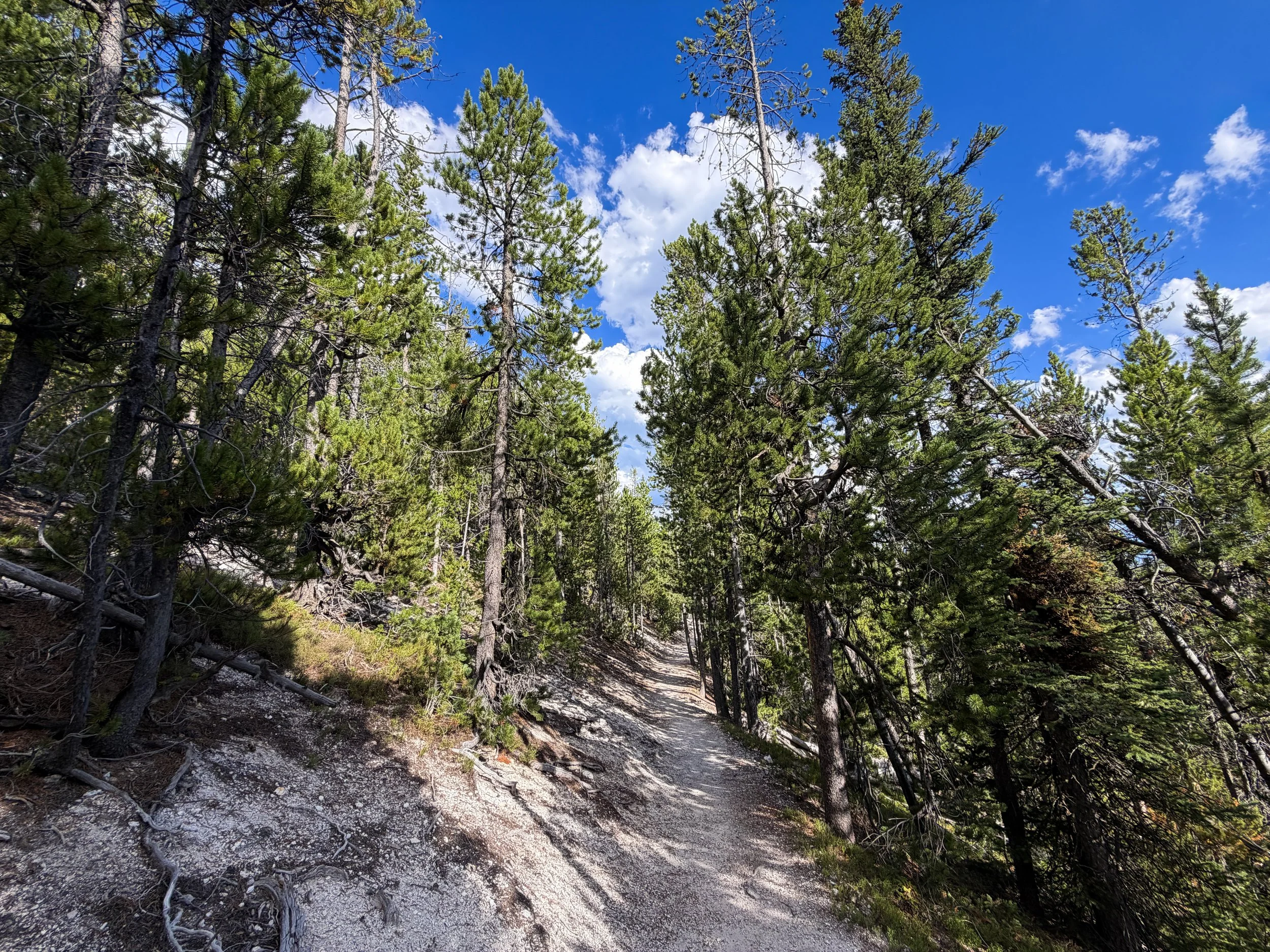 North Rim Trail Yellowstone National Park Wyoming