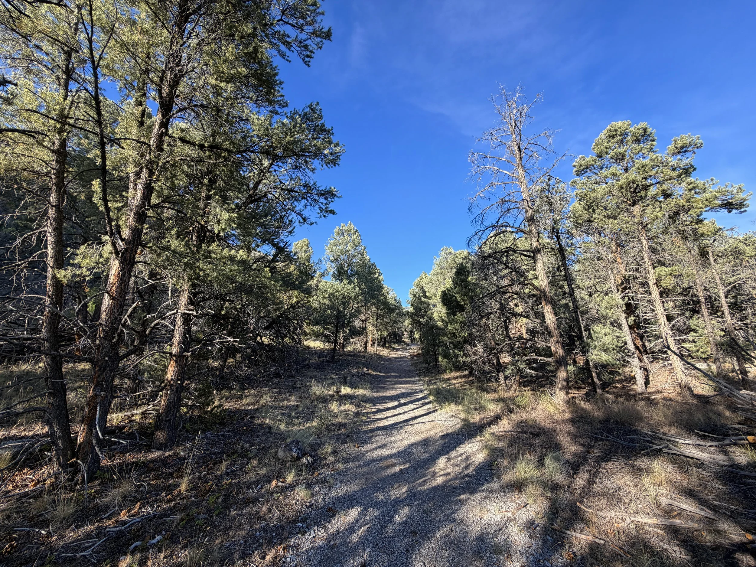 Pole Canyon Trail Great Basin National Park Nevada