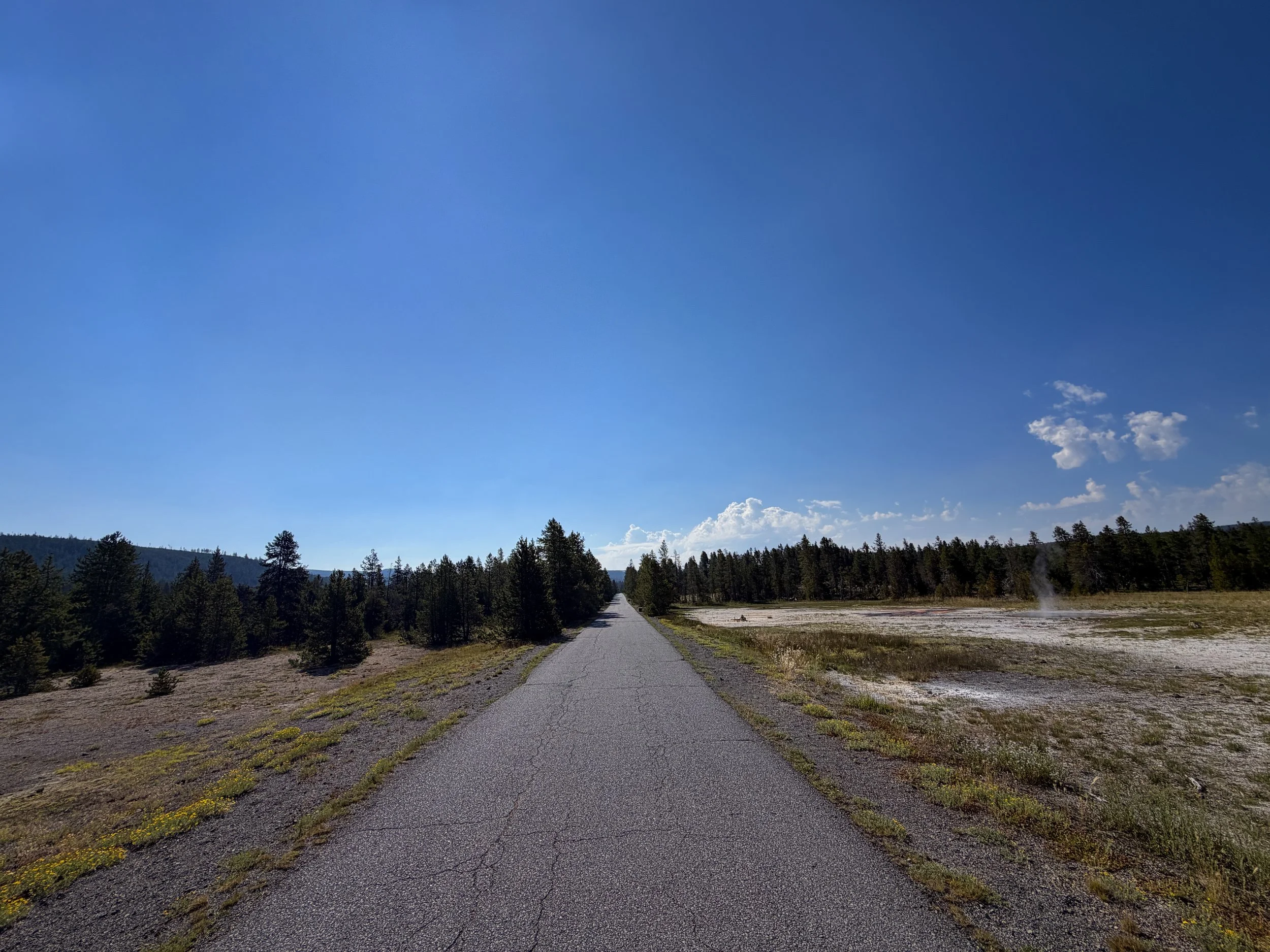 Upper Geyser Basin Trail Yellowstone National Park Wyoming