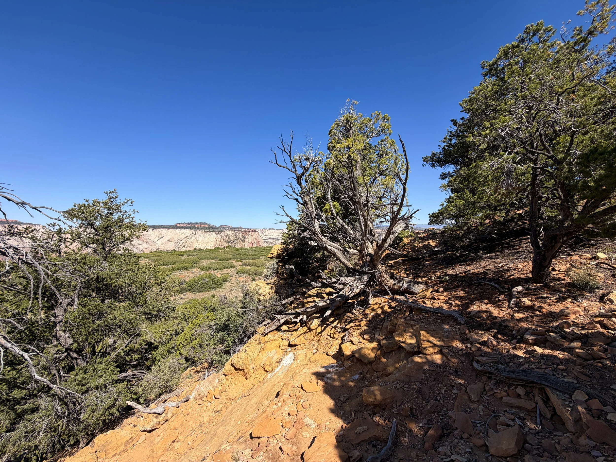 Deertrap Mountain Trail Zion National Park Utah