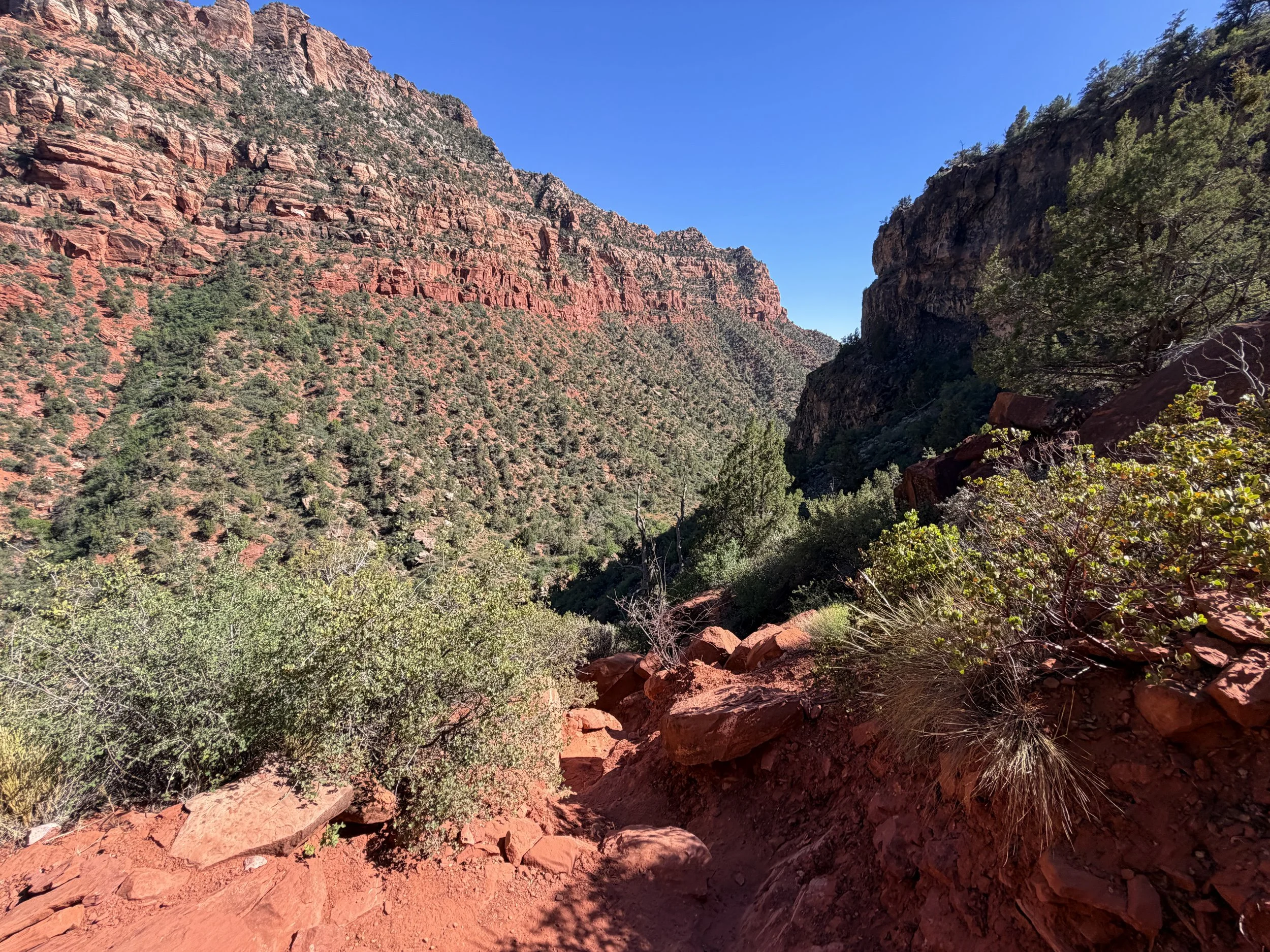 Subway Trail Left Fork North Creek Zion National Park Utah