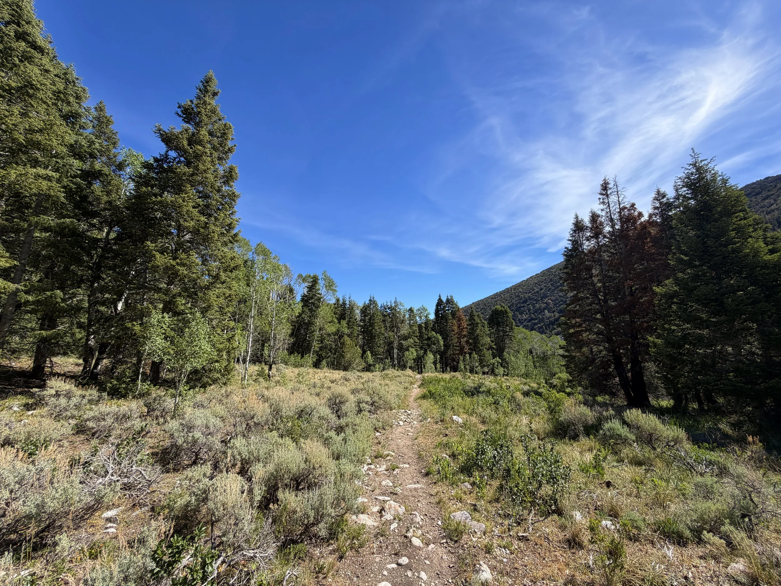 Pole Canyon Trail Great Basin National Park Nevada