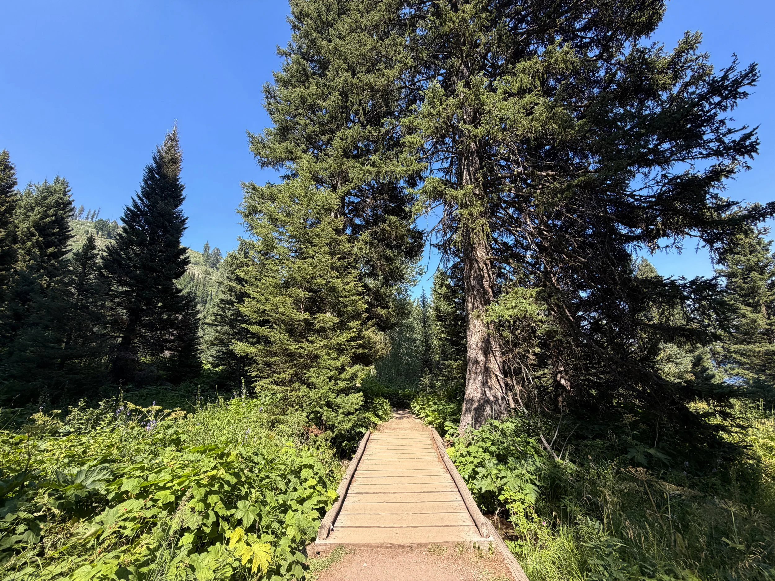 Jenny Lake Trail Grand Teton National Park Wyoming