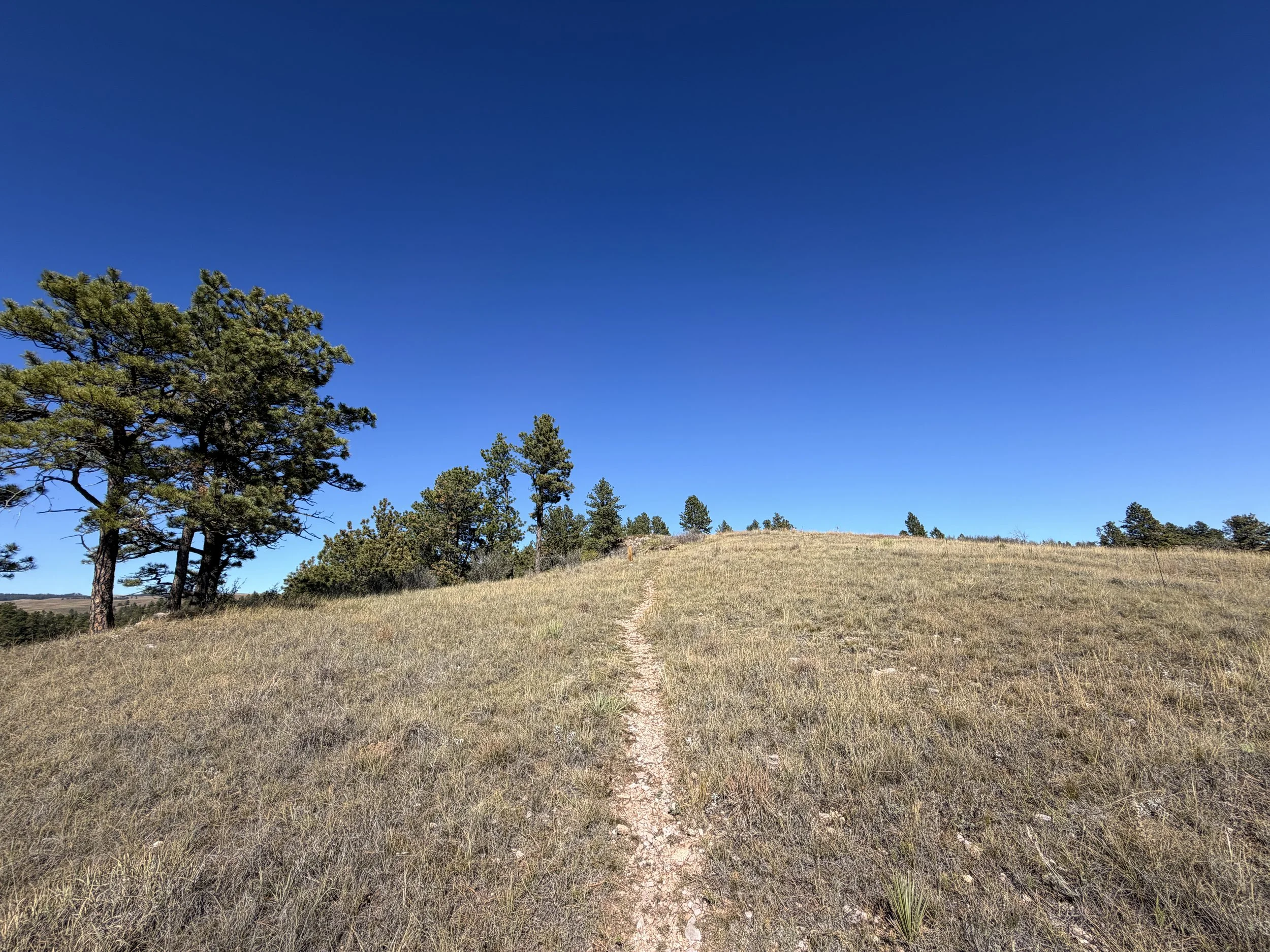 East Bison Flats Trail Wind Cave National Park South Dakota