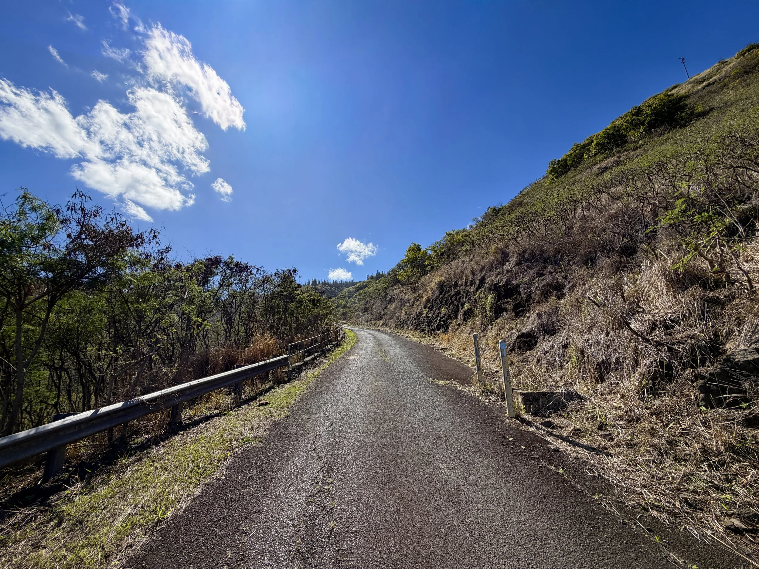 Mokuleia Forest Reserve Access Road Oahu Hawaii