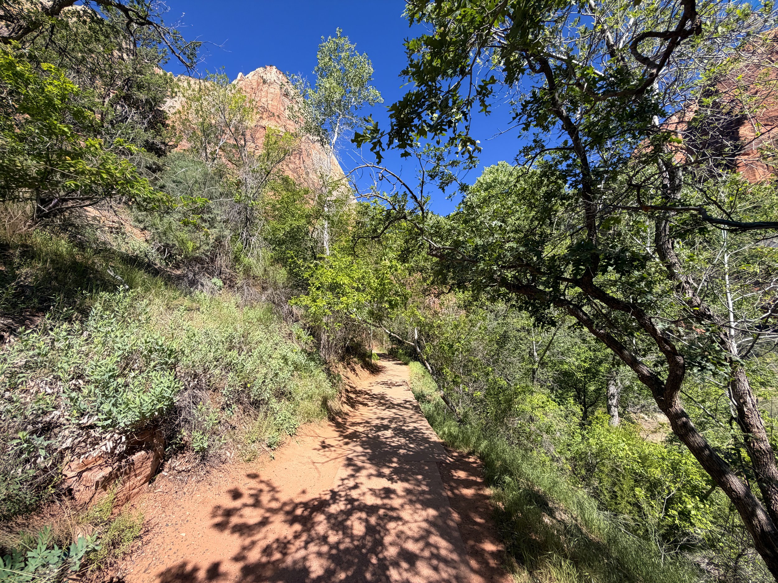 Lower Emerald Pools Trail Zion National Park Utah