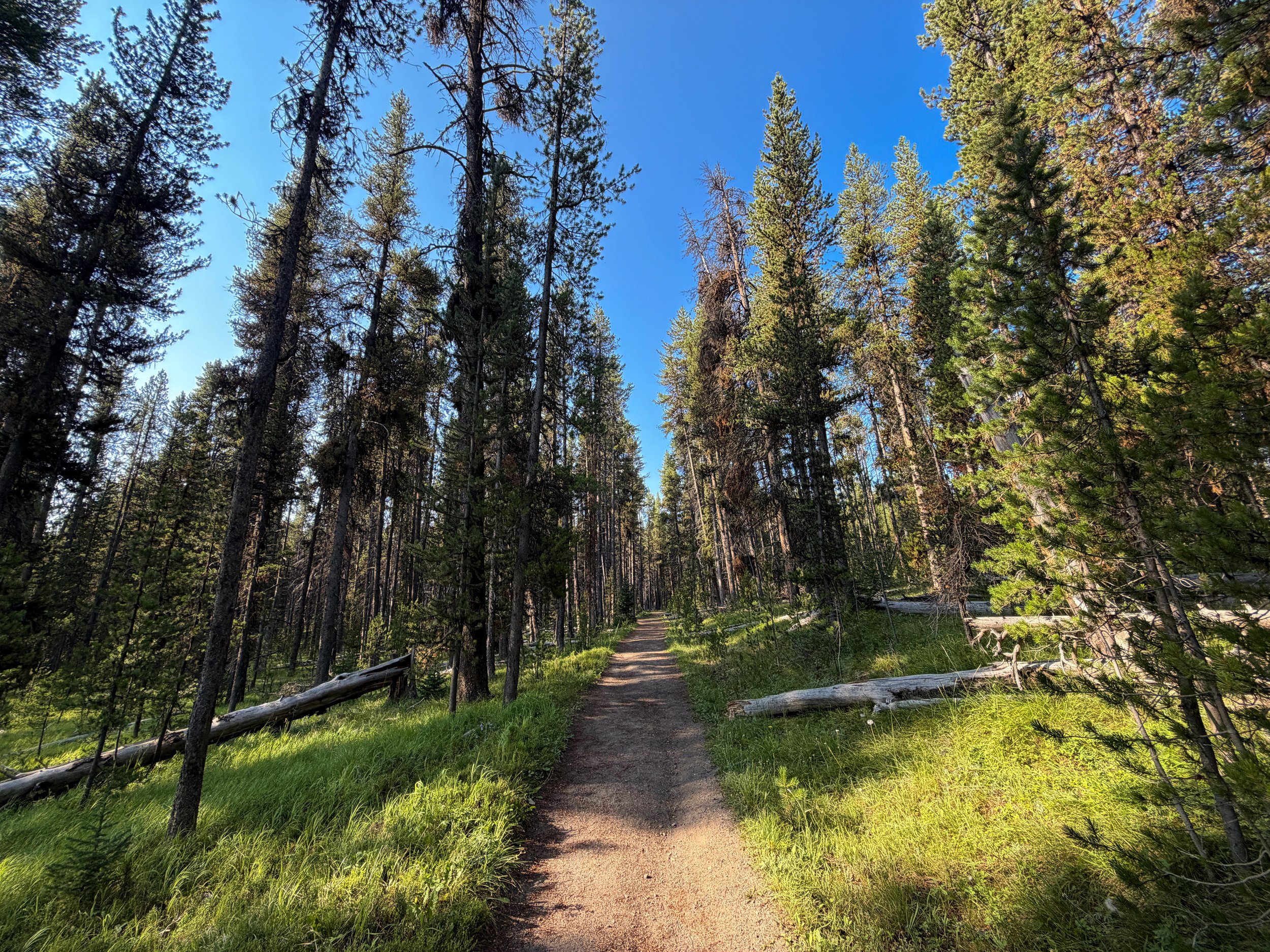 Natural Bridge Trail Yellowstone National Park Wyoming