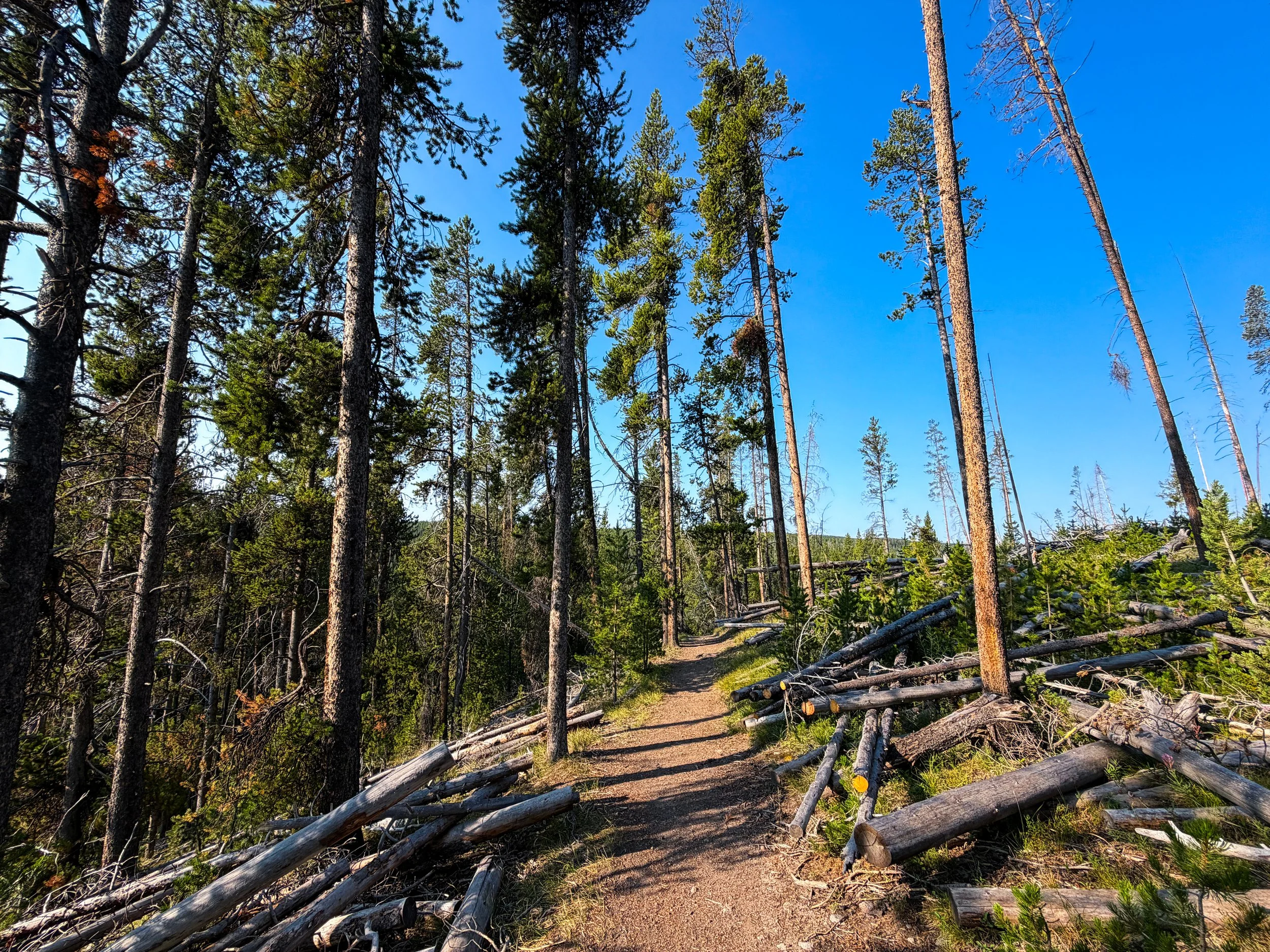 Natural Bridge Trail Yellowstone National Park Wyoming