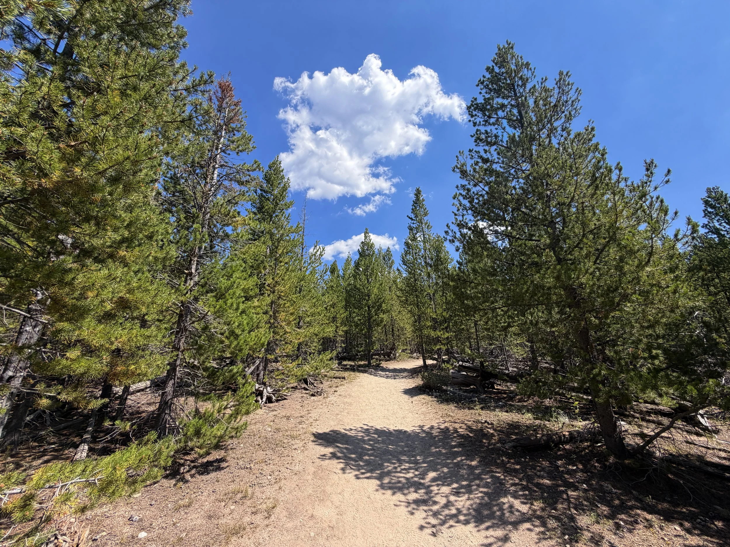 Bunsen Peak Trail Yellowstone National Park Wyoming