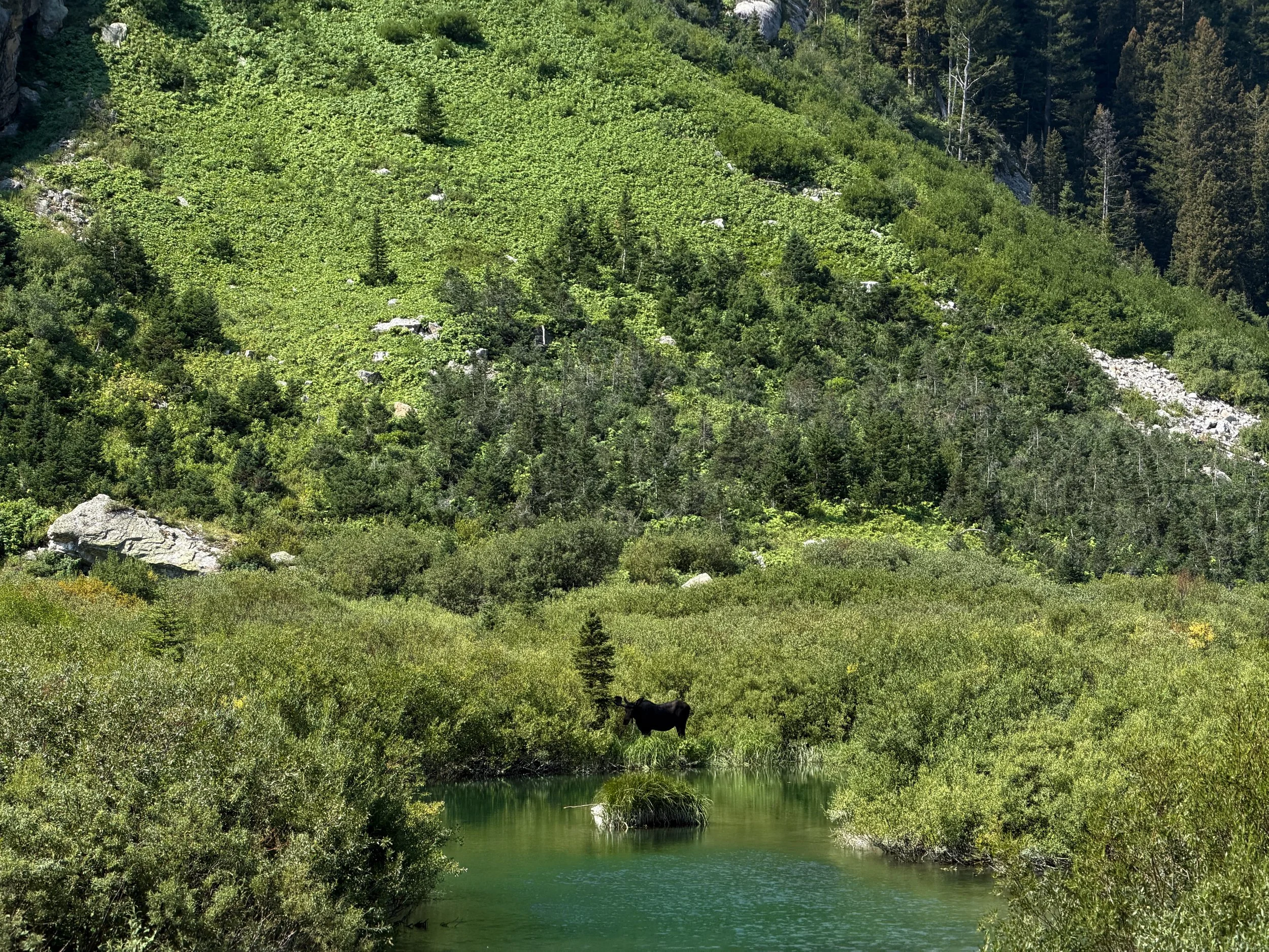 Moose Cascade Canyon Trail via Inspiration Point Grand Teton National Park Wyoming
