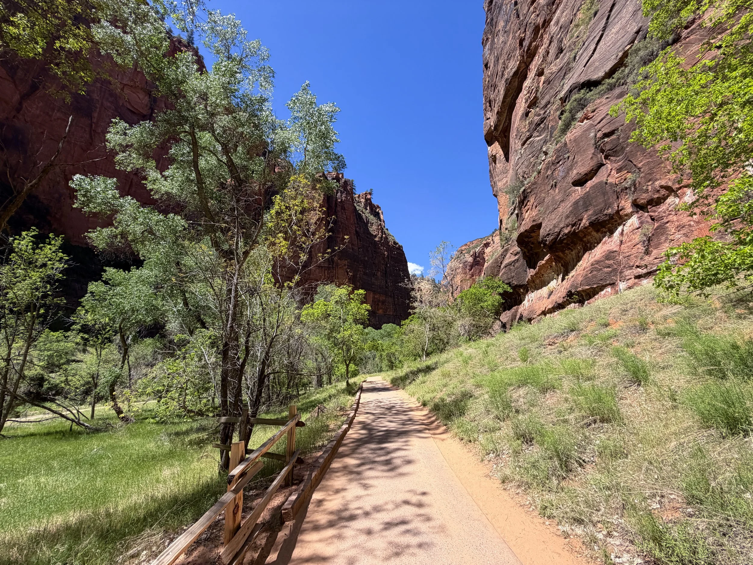 Riverside Walk Trail Zion National Park Utah