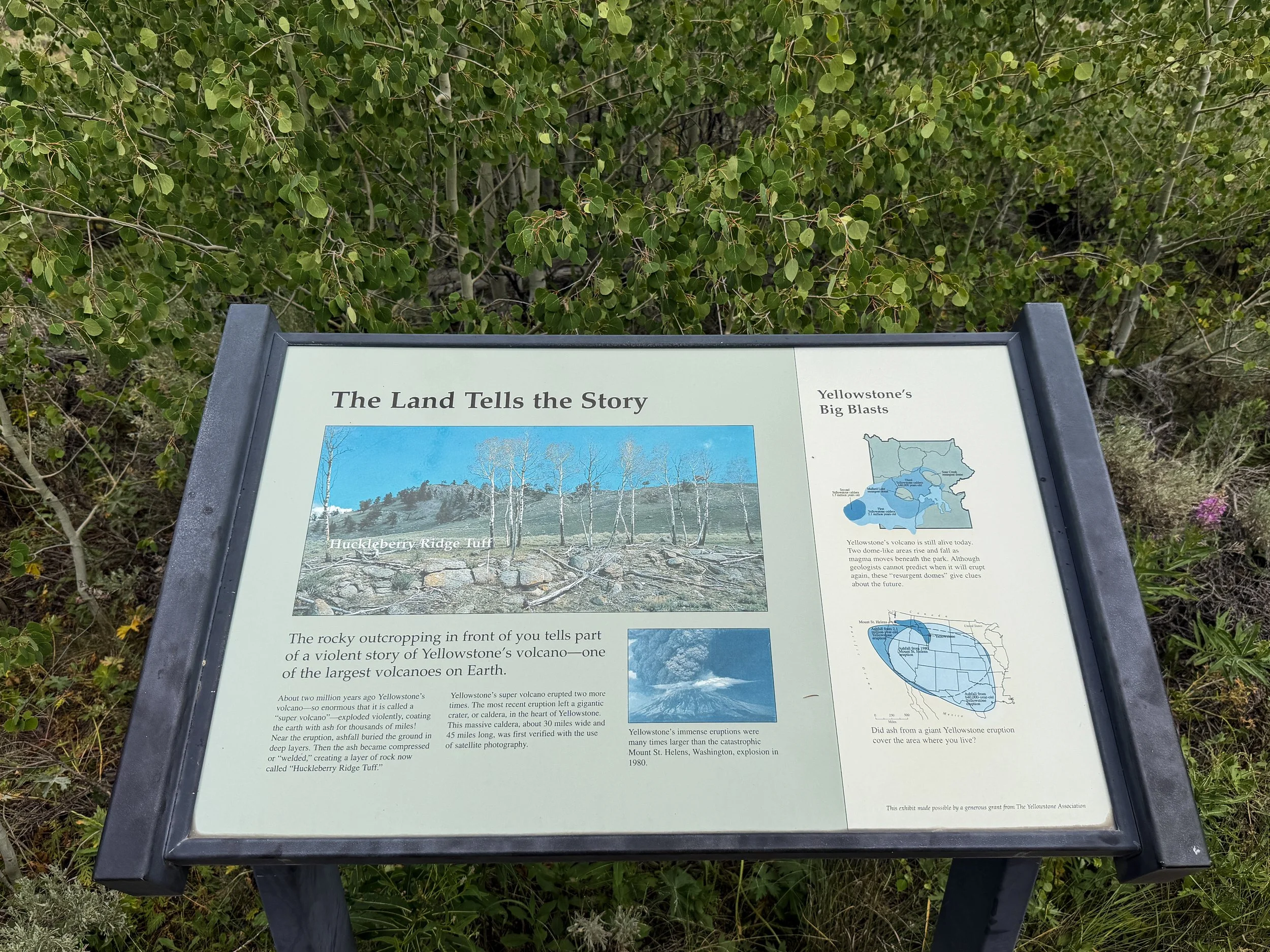 Forces of the Northern Range Trail Yellowstone National Park Wyoming
