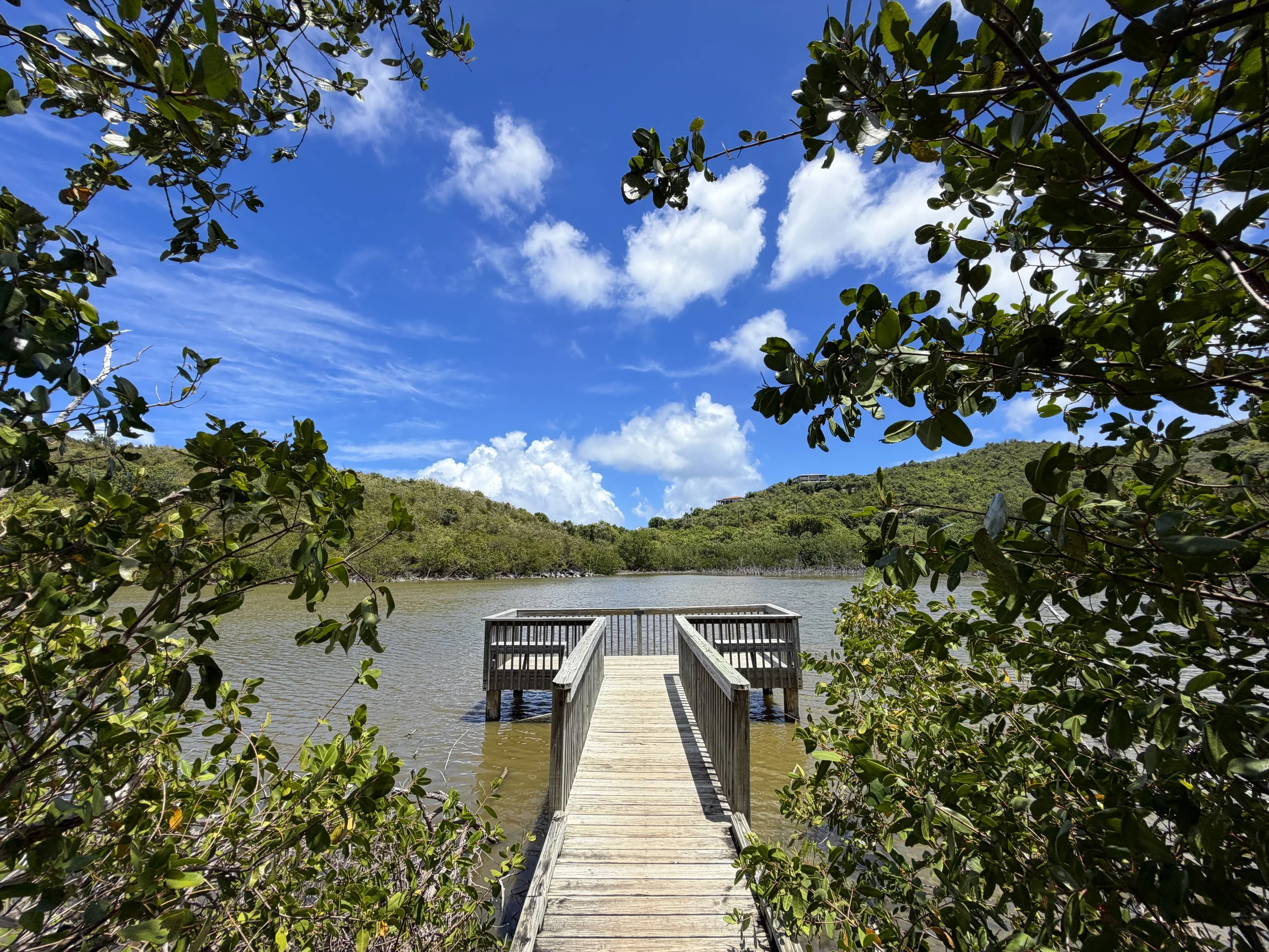 Francis Bay Trail Virgin Islands National Park
