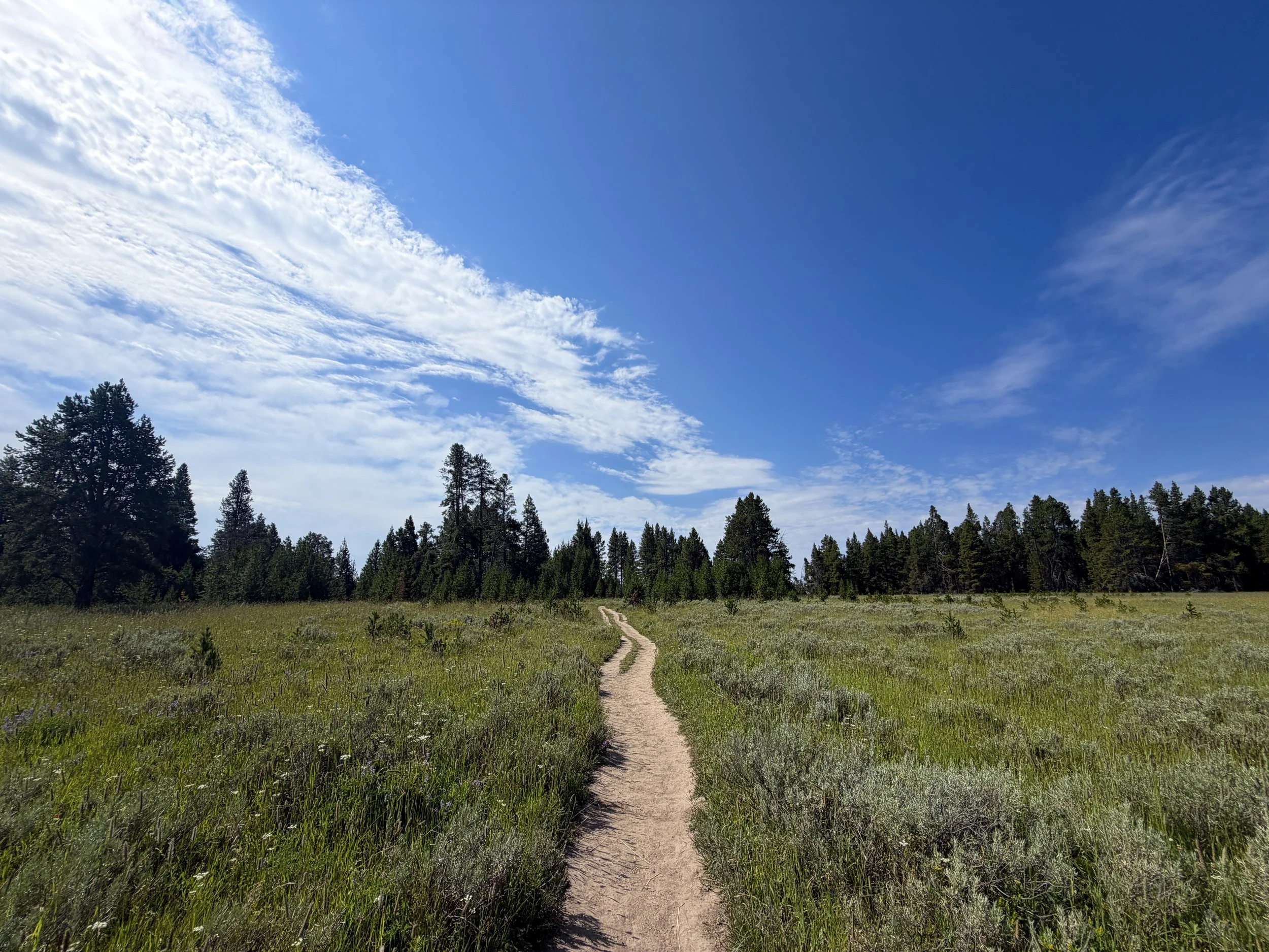 Storm Point Trail Yellowstone National Park Wyoming
