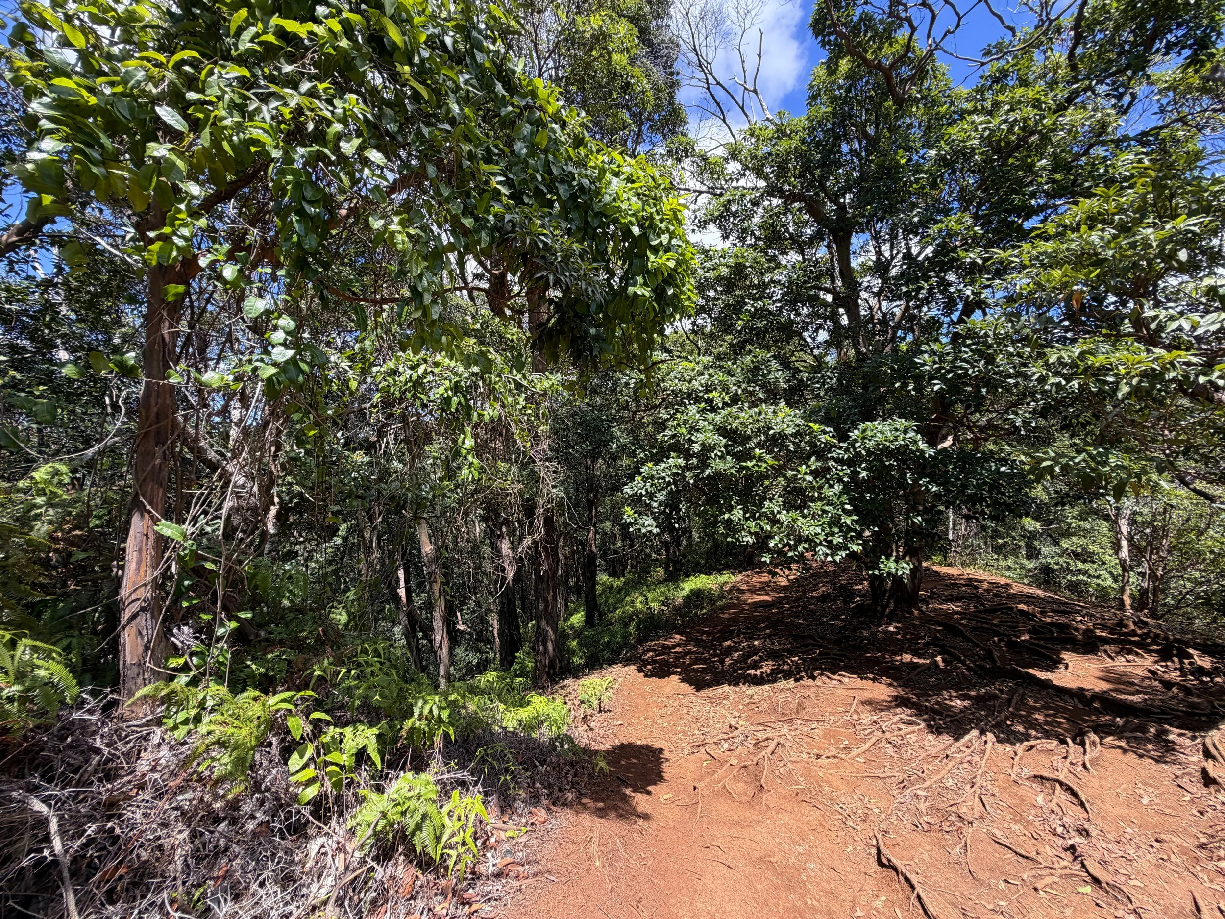 Waimano Pools Hike Oahu Hawaii