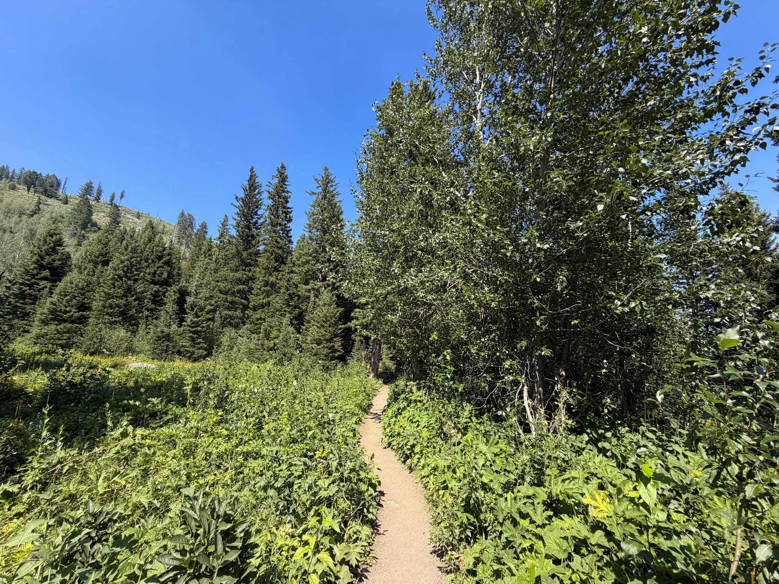 Jenny Lake Trail Grand Teton National Park Wyoming