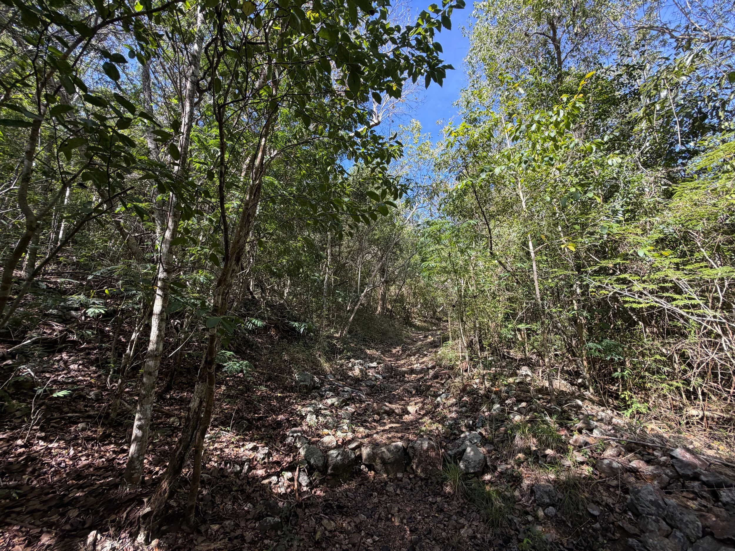 Lameshur Bay Trail Virgin Islands National Park
