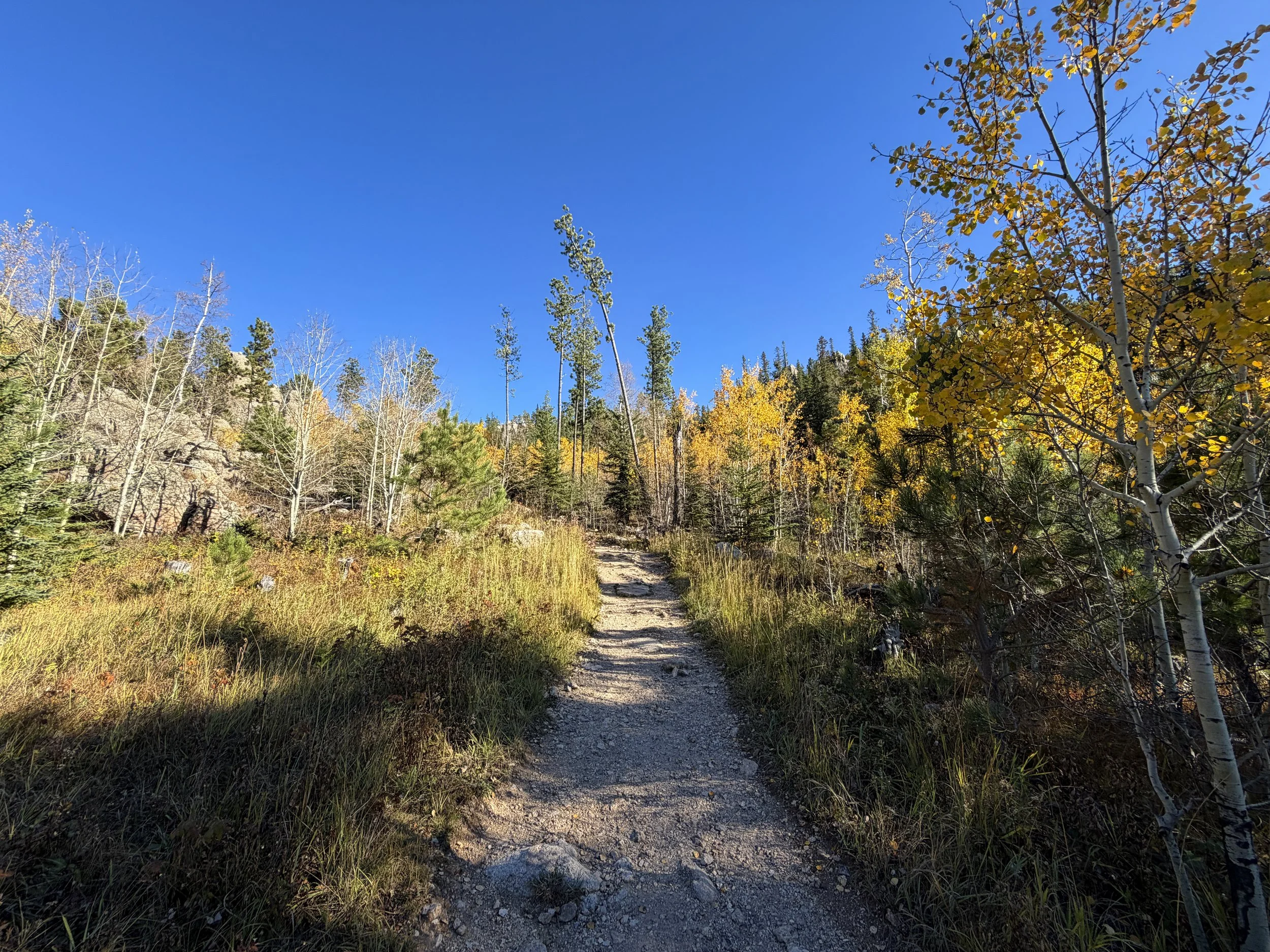 Little Devils Tower Hike Custer State Park Black Hills South Dakota