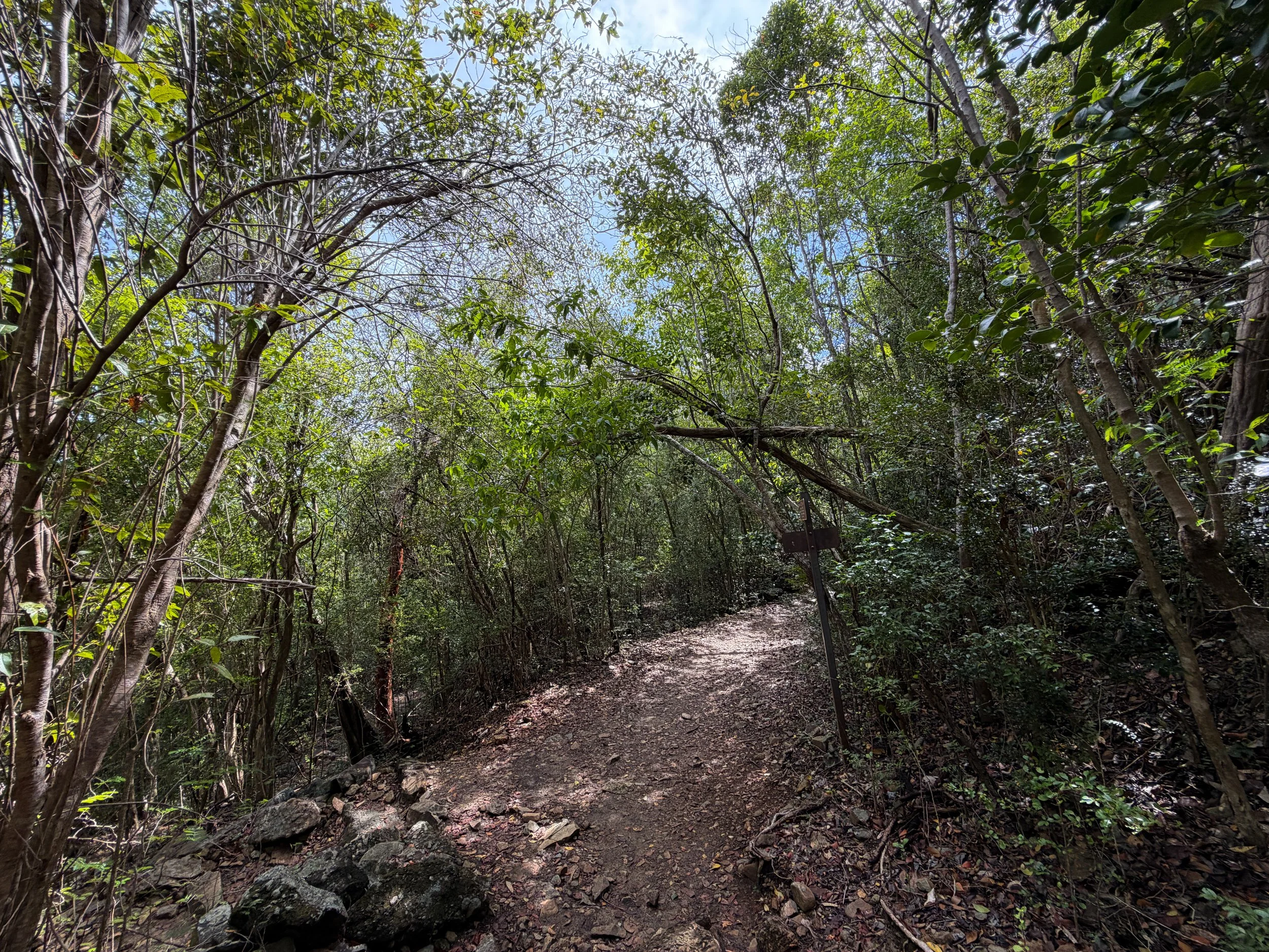 Lower Lind Point Trail Virgin Islands National Park