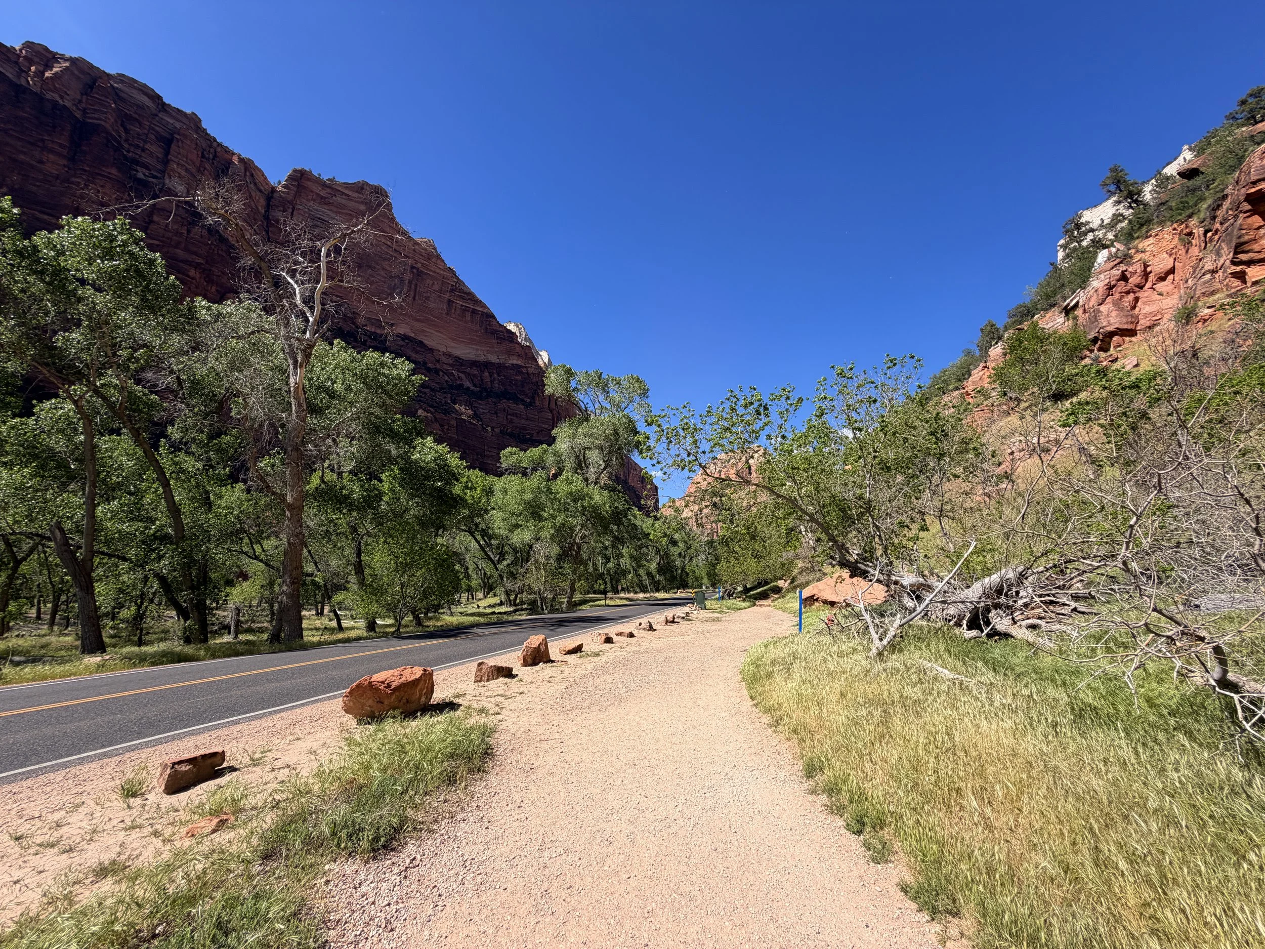 Grotto Trail Zion National Park Utah