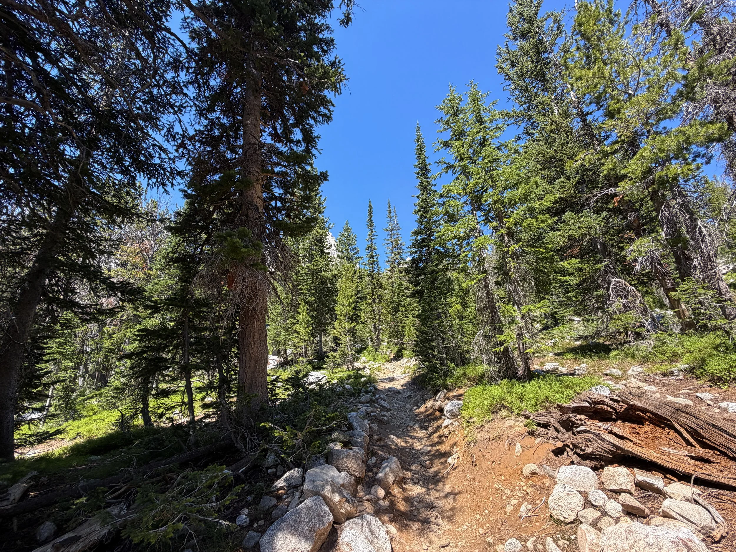 Surprise & Amphitheater Lakes Trail Grand Teton National Park Wyoming