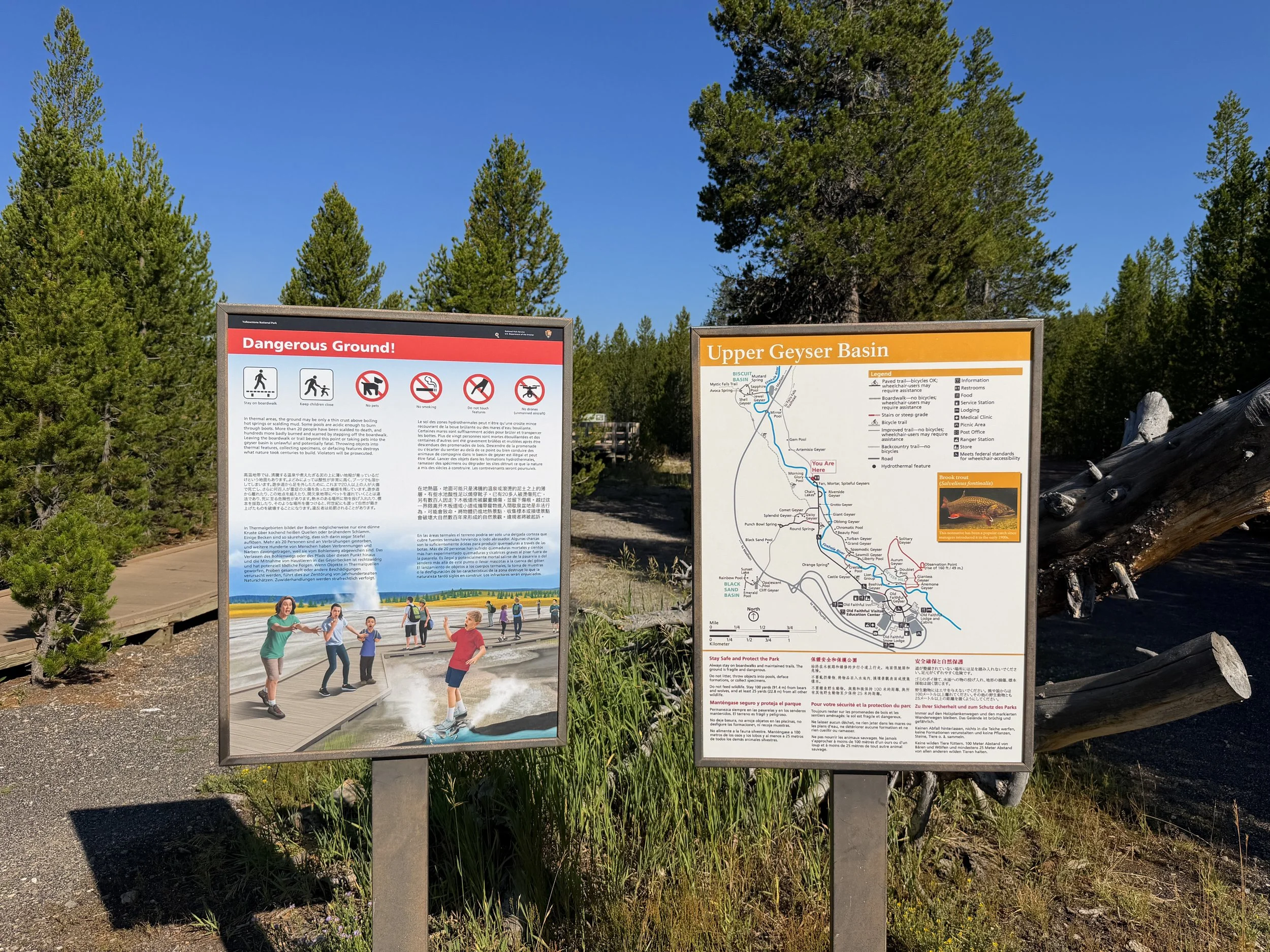 Upper Geyser Basin Trail to the Morning Glory Pool Yellowstone National Park Wyoming