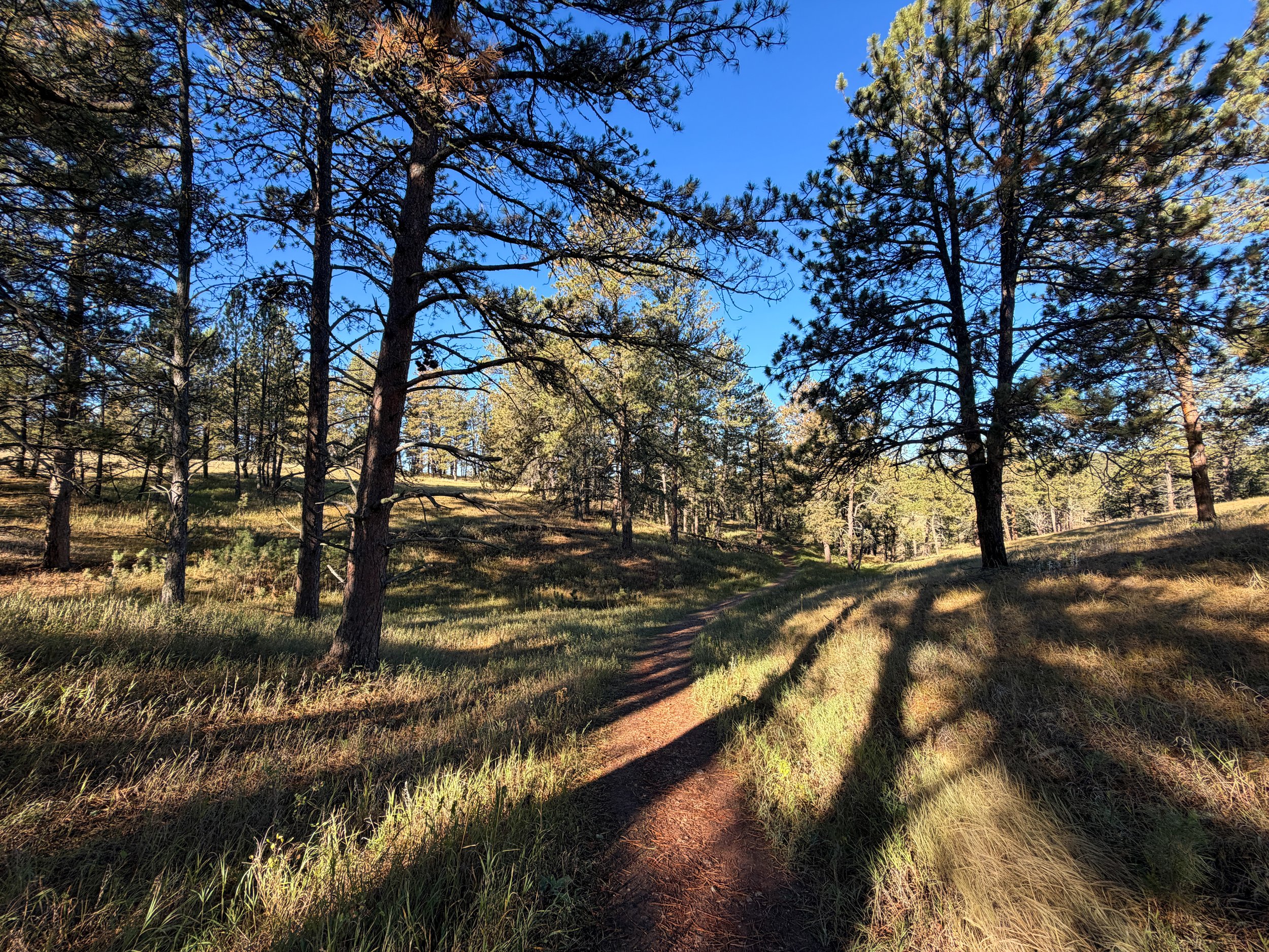 Cold Brook Canyon Trail Wind Cave National Park South Dakota