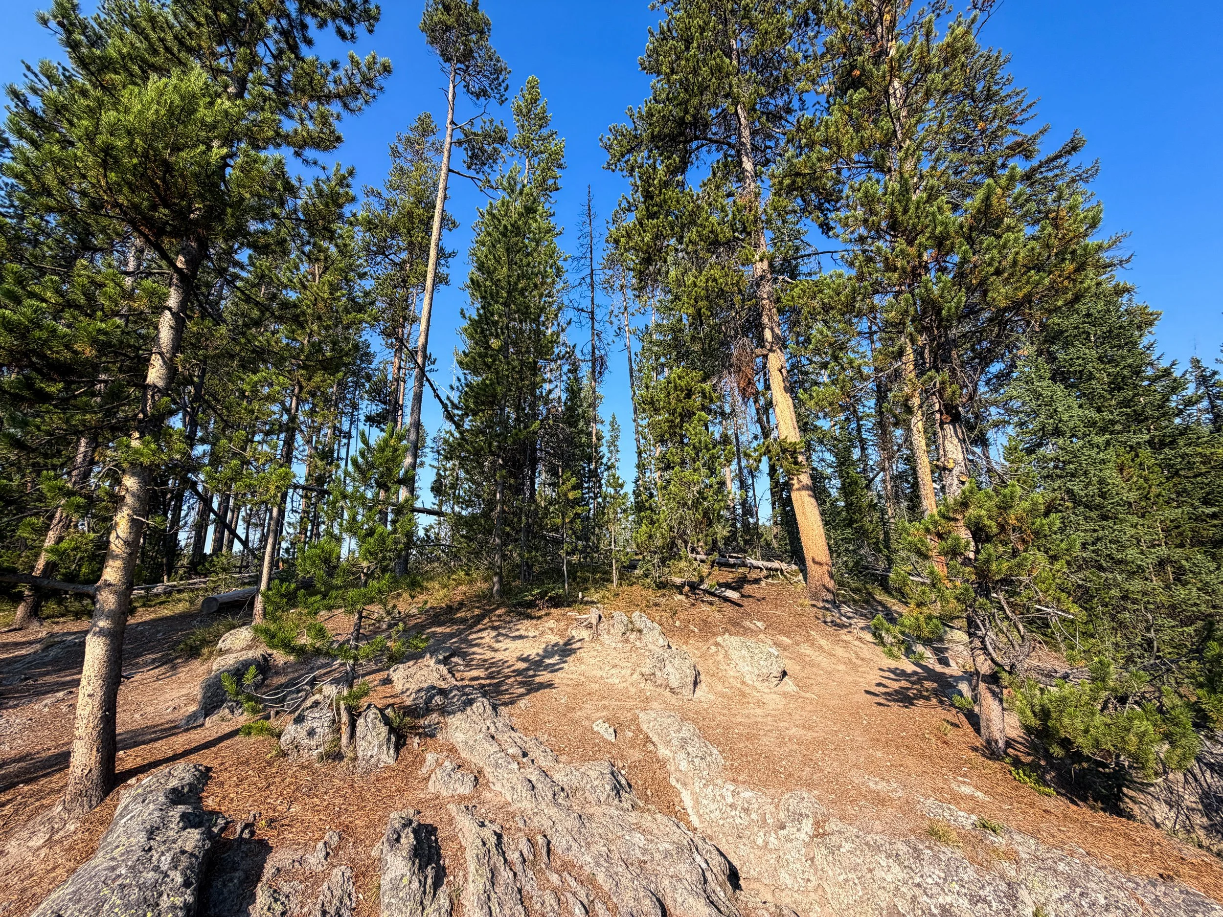 Top of Natural Bridge Yellowstone National Park Wyoming
