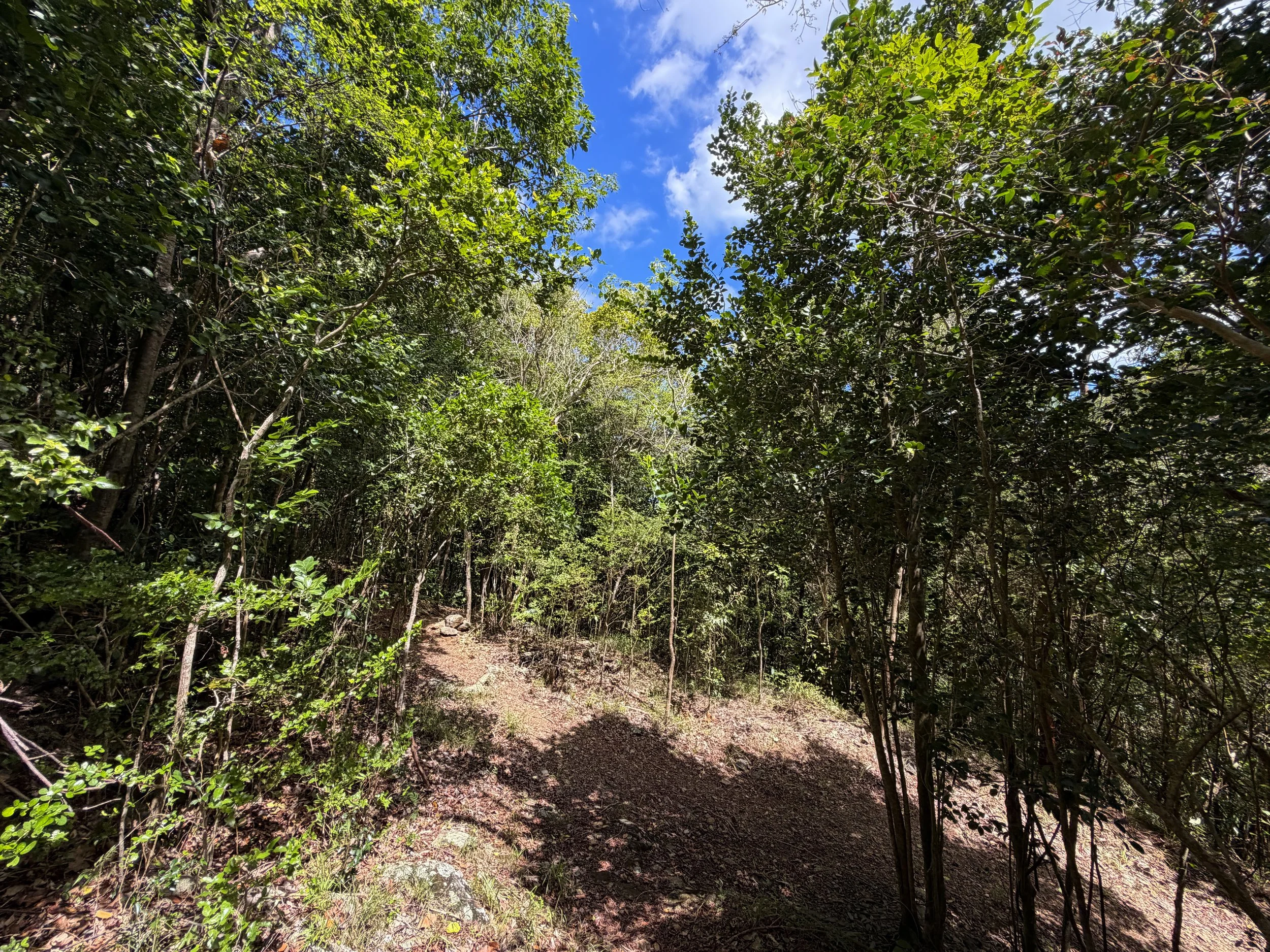 Water Catchment Trail Virgin Islands National Park