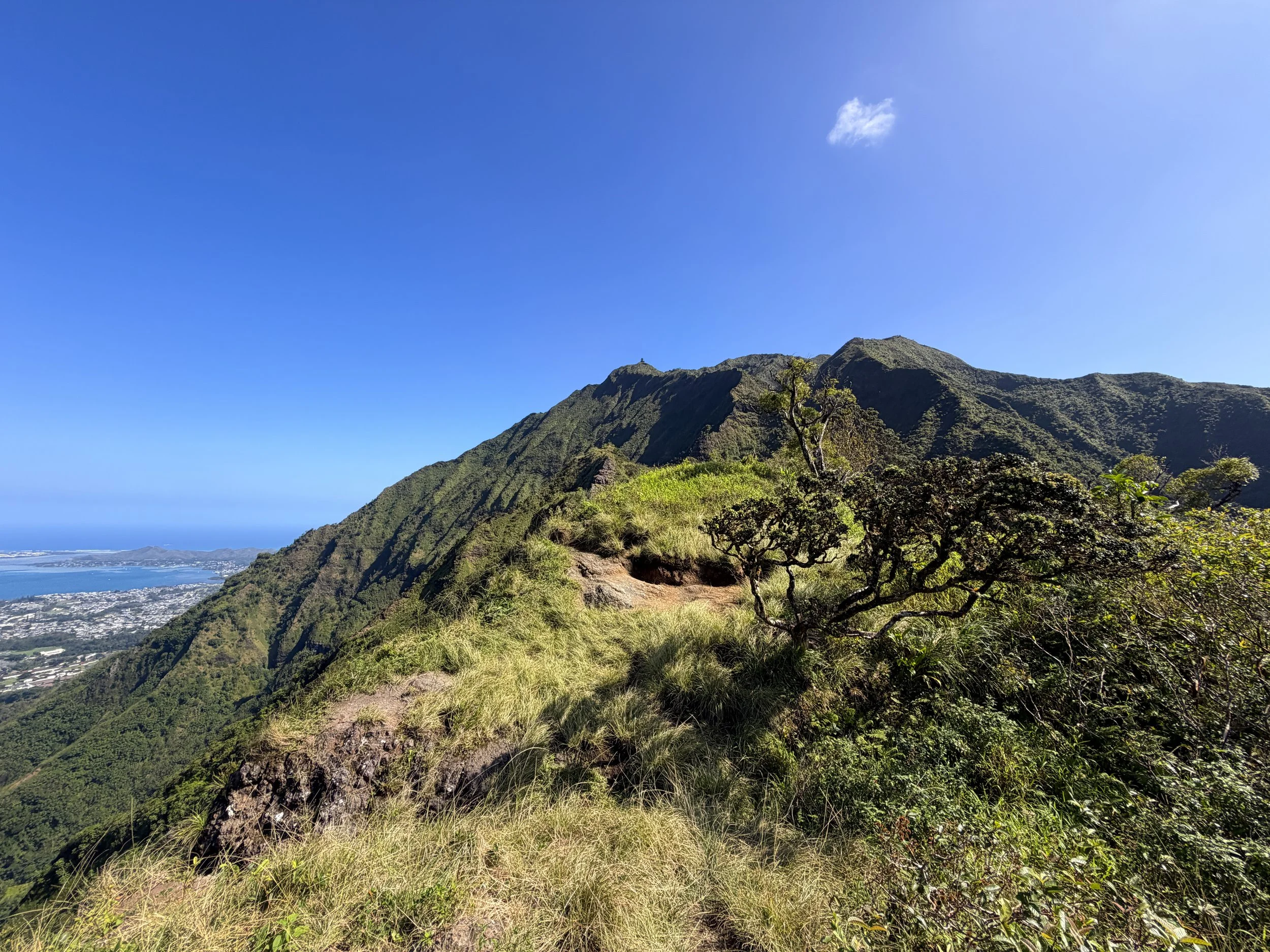 Kulanaahane Summit Moanalua Saddle KST Oahu Hawaii