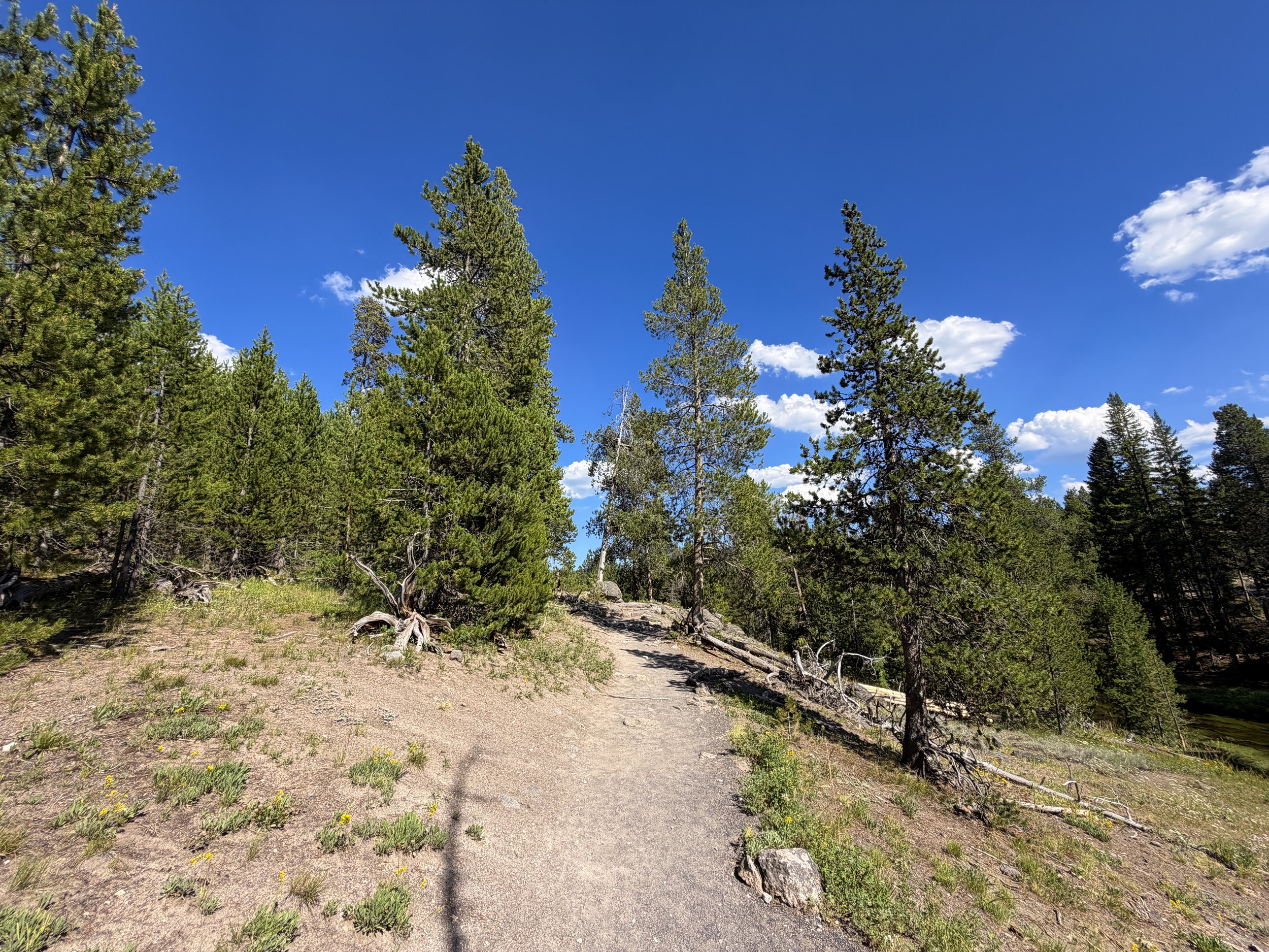 Observation Point Trail Yellowstone National Park Wyoming