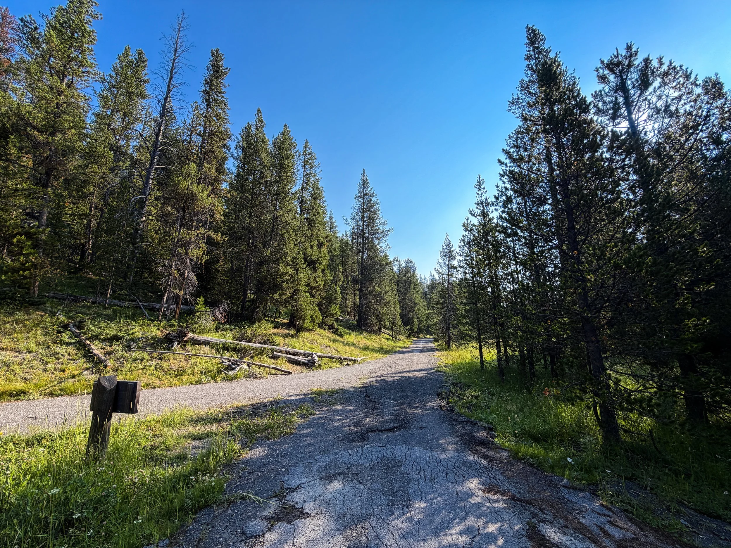 Natural Bridge Trail Yellowstone National Park Wyoming
