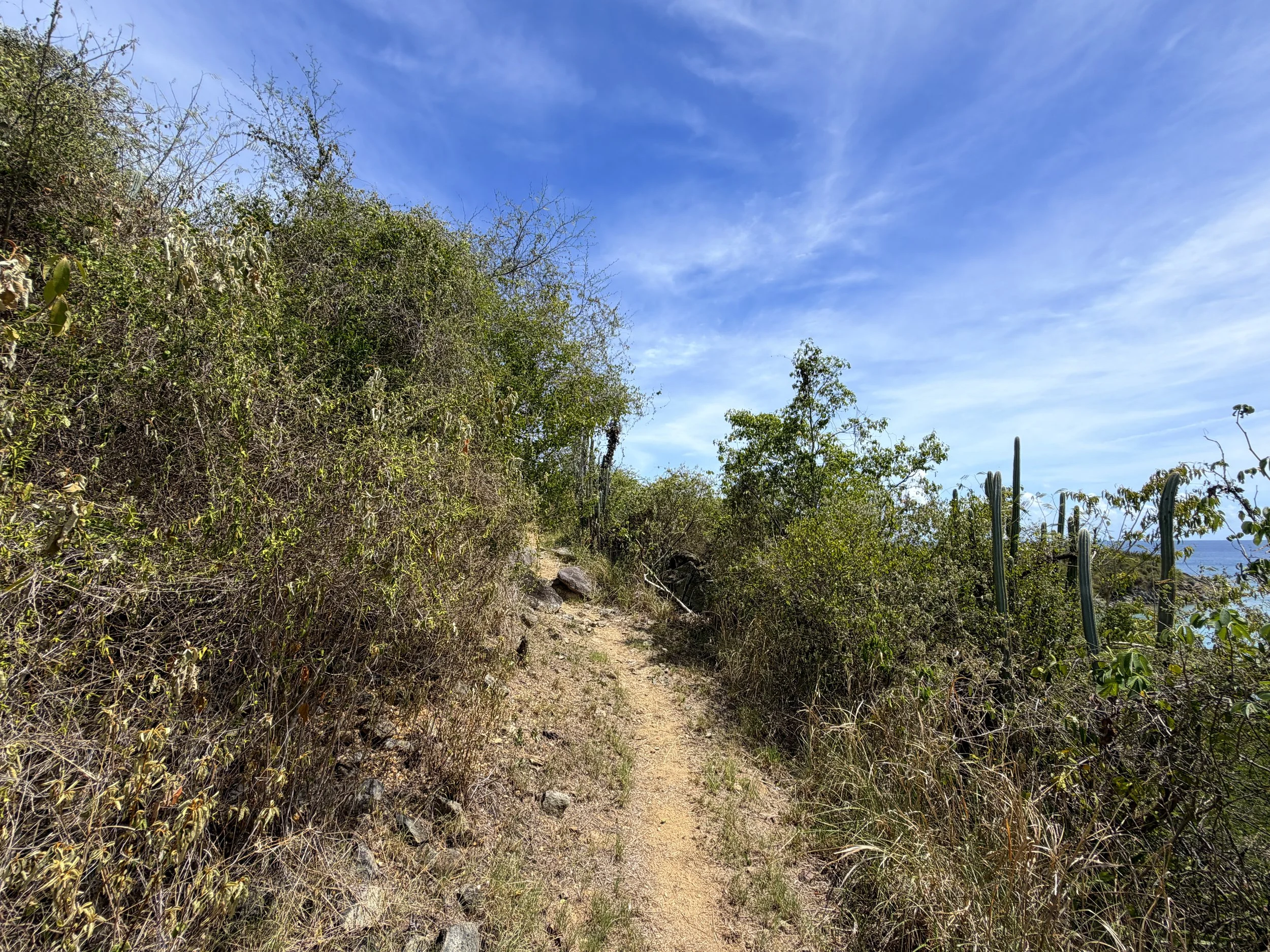 Yawzi Point Hike Virgin Islands National Park