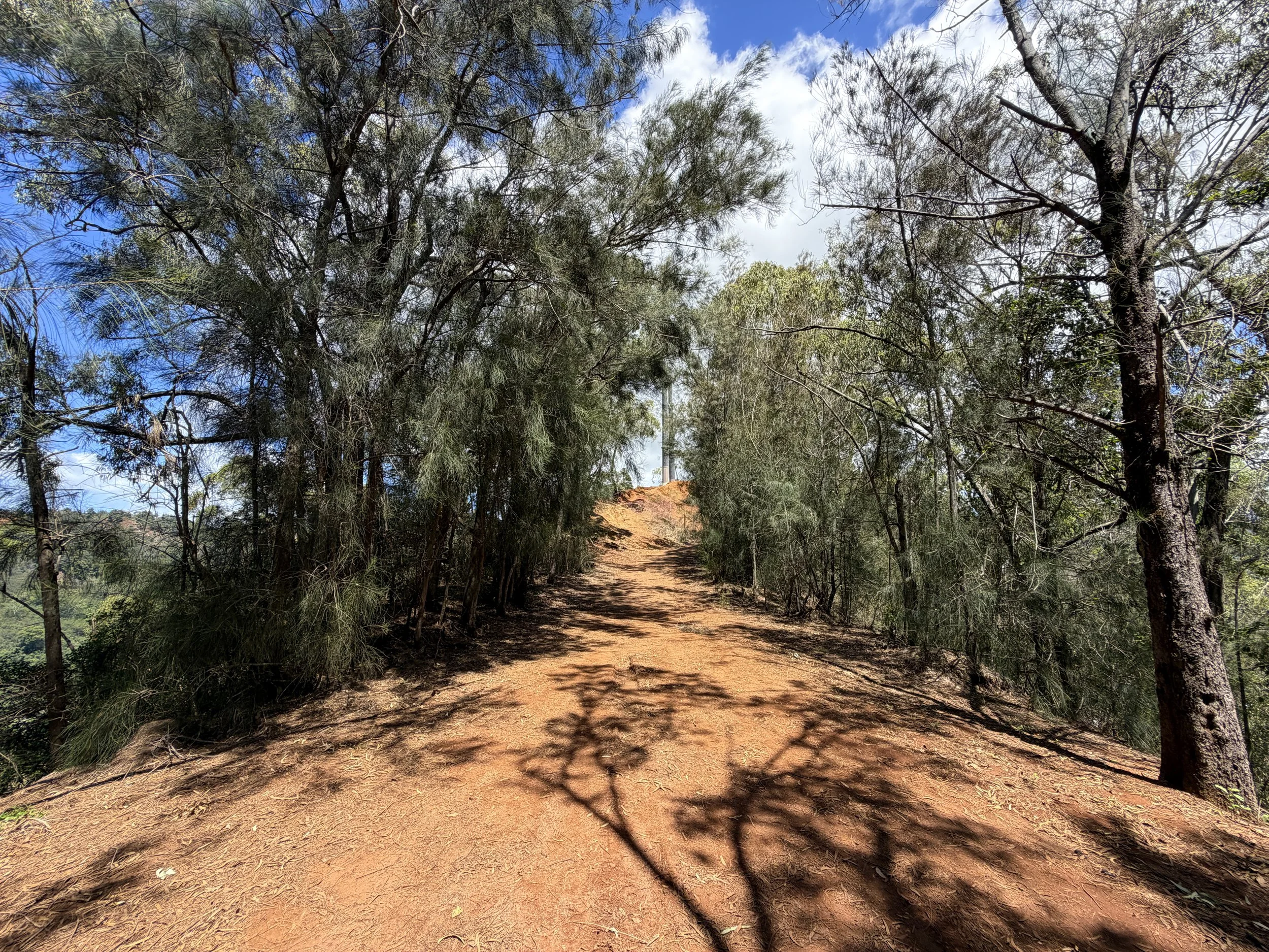 Waimano Falls Trail Oahu Hawaii