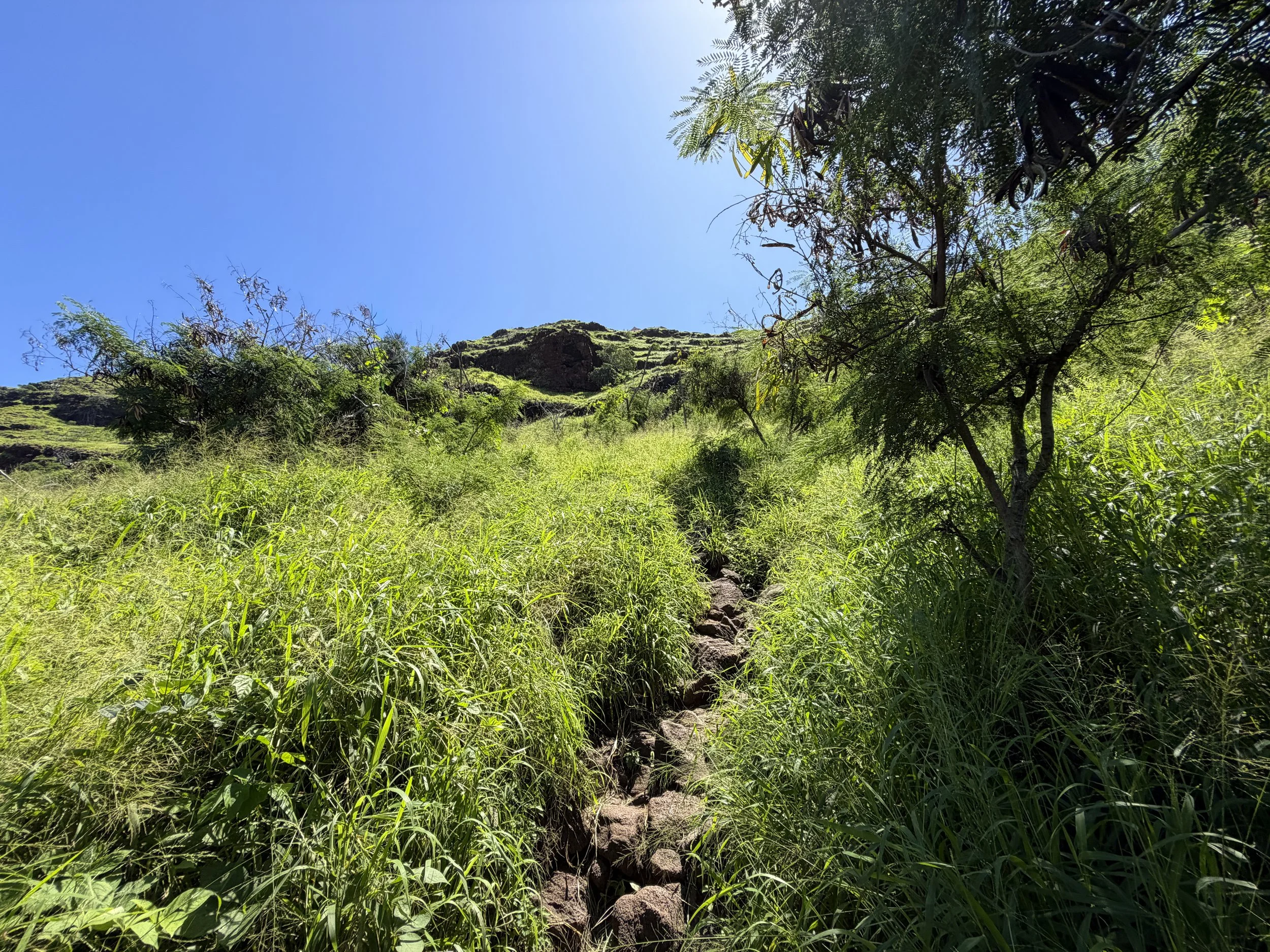 Puu O Hulu Hike Oahu Hawaii
