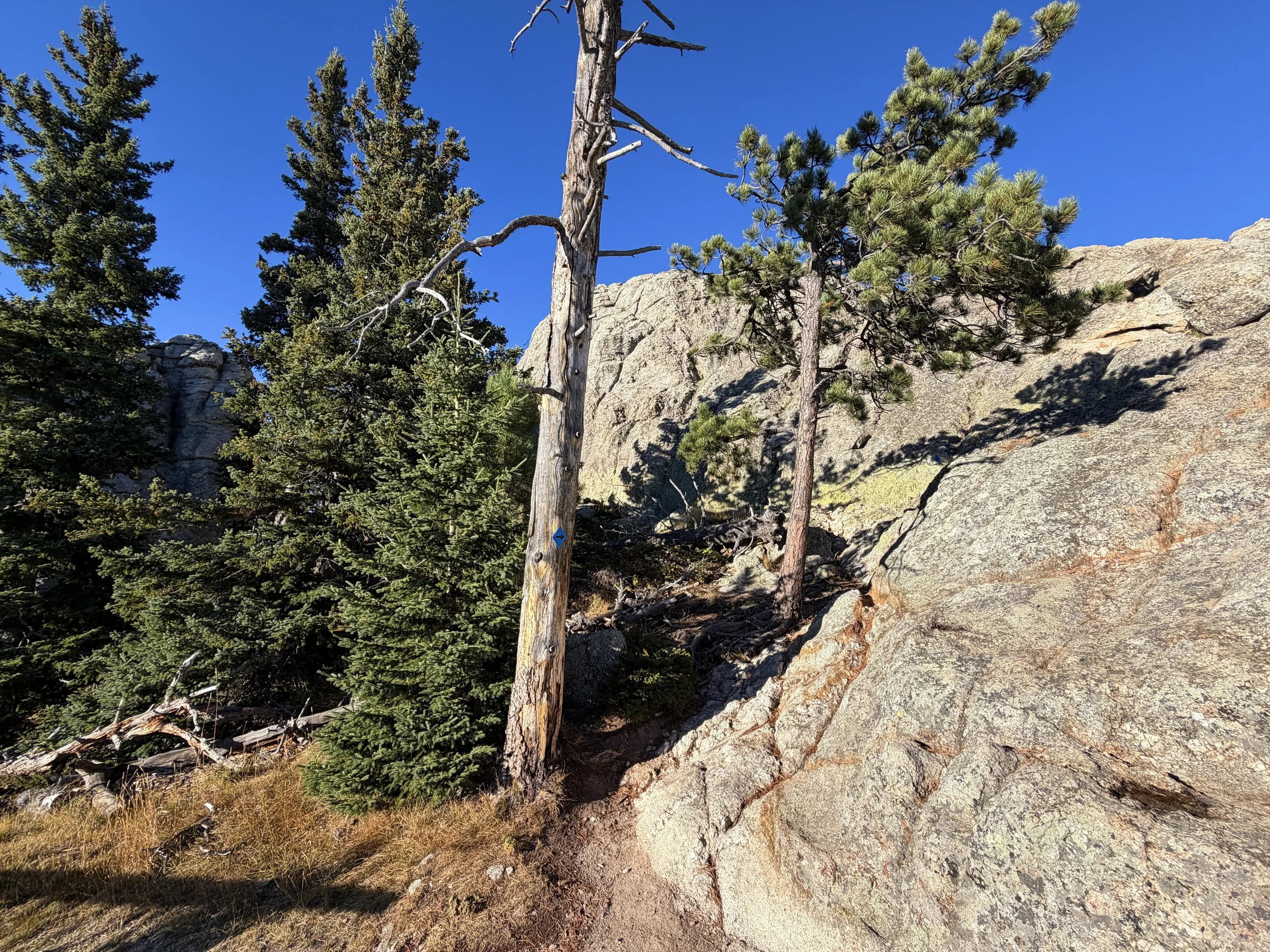Little Devils Tower Trail Custer State Park Black Hills South Dakota