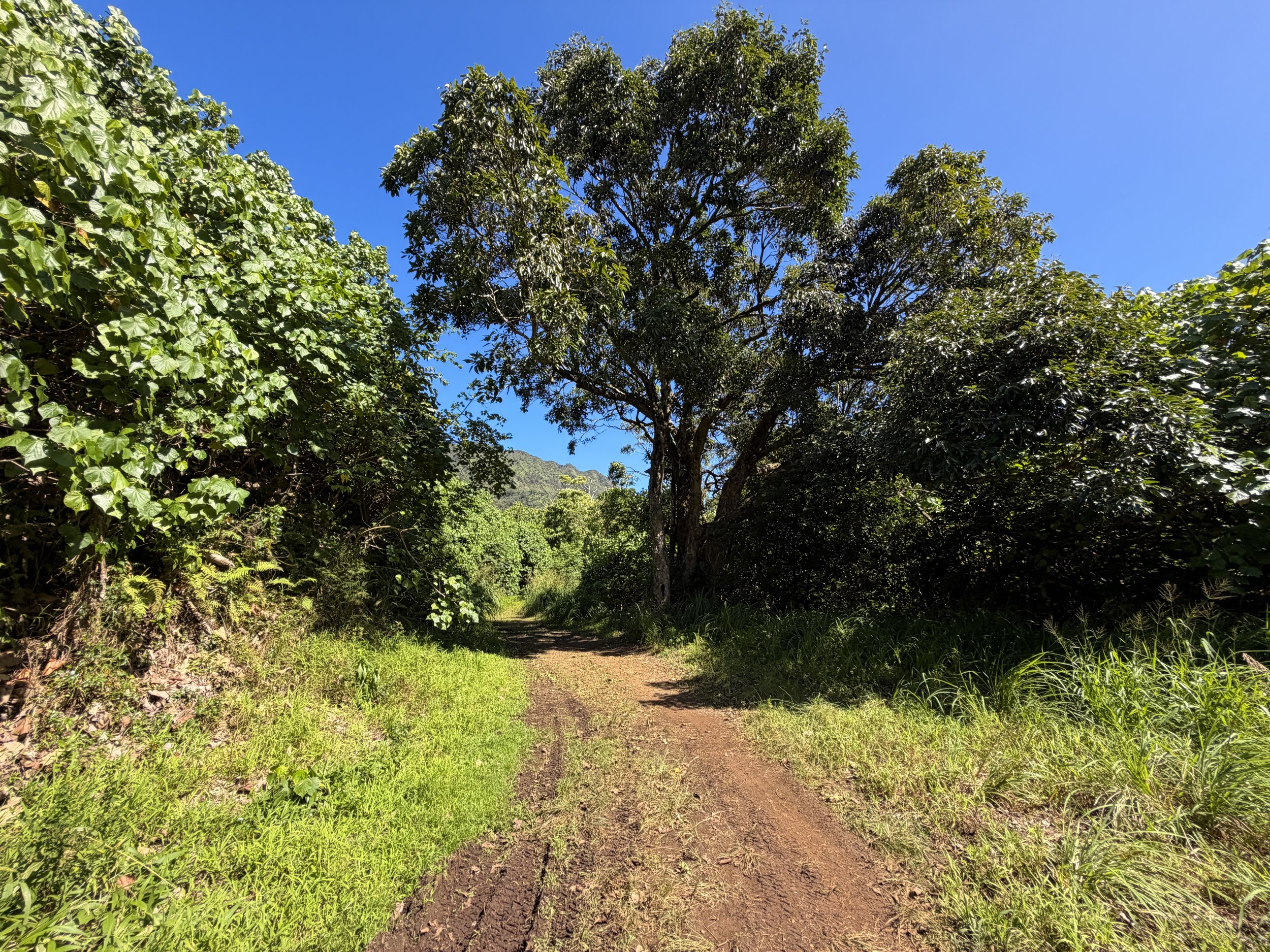 Kulanaahane Trail Moanalua Valley Road Oahu Hawaii