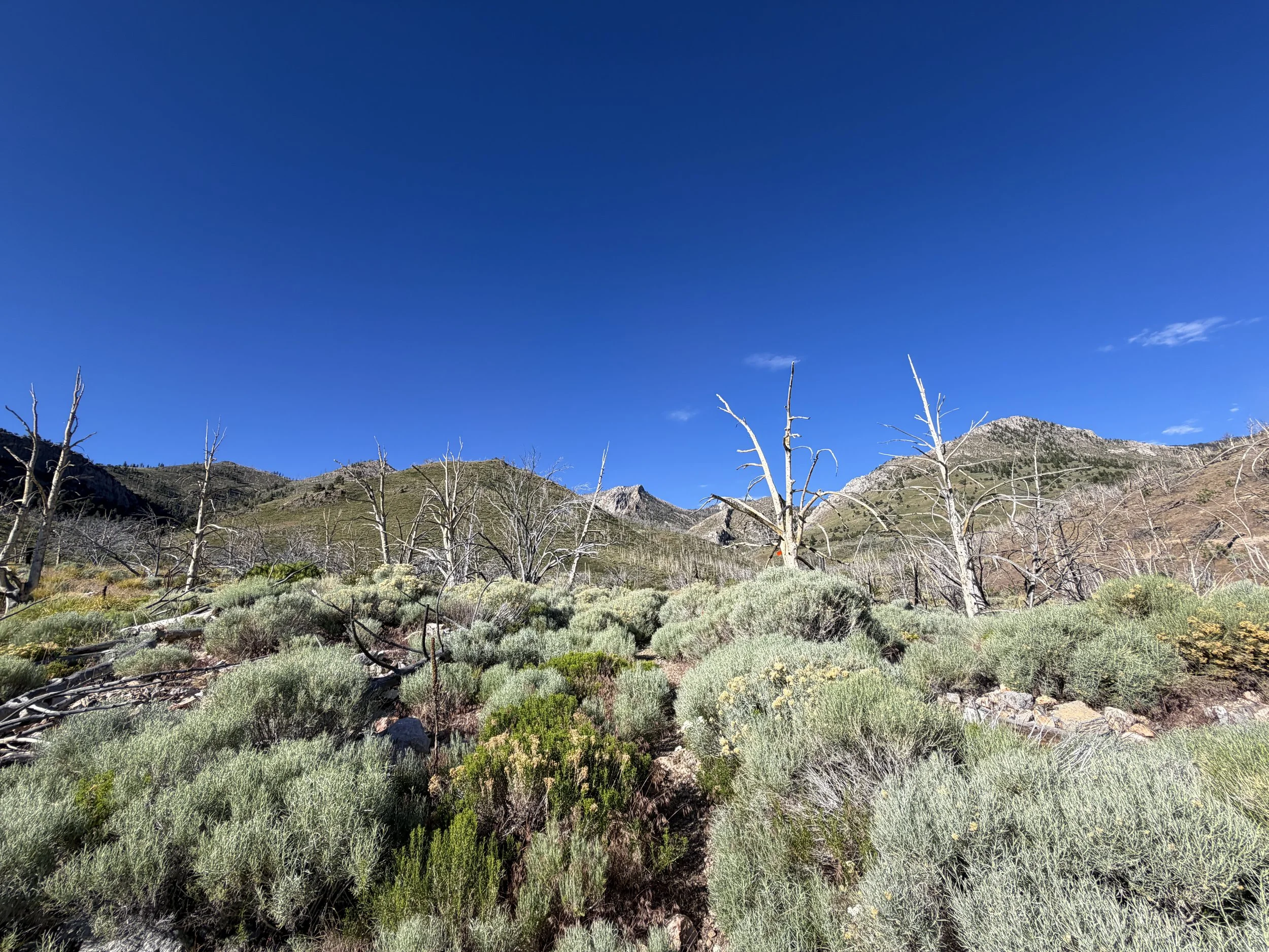 Lexington Arch Hike Great Basin National Park Nevada