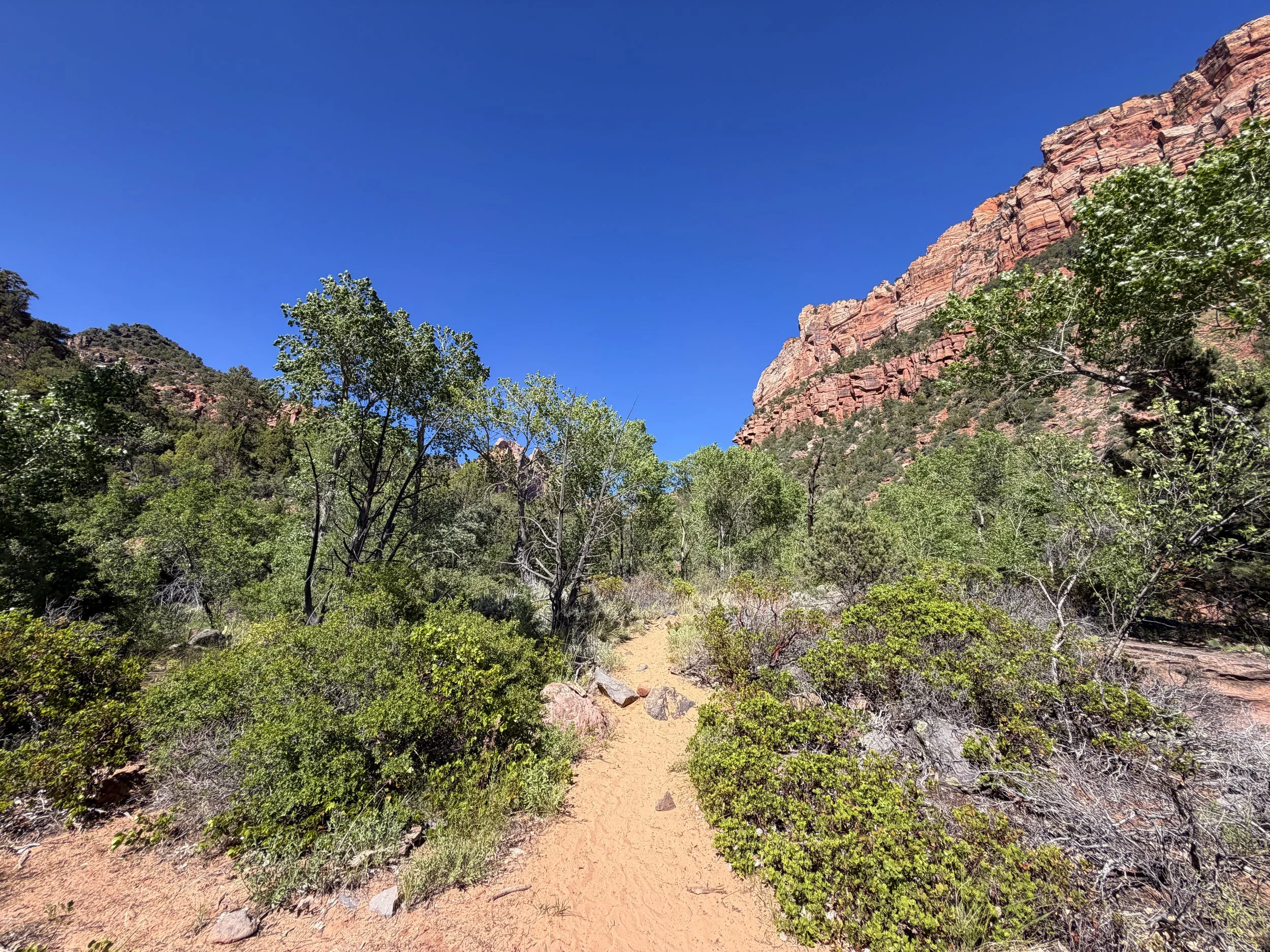 Subway Hike Bottom–Up Route Zion National Park Utah