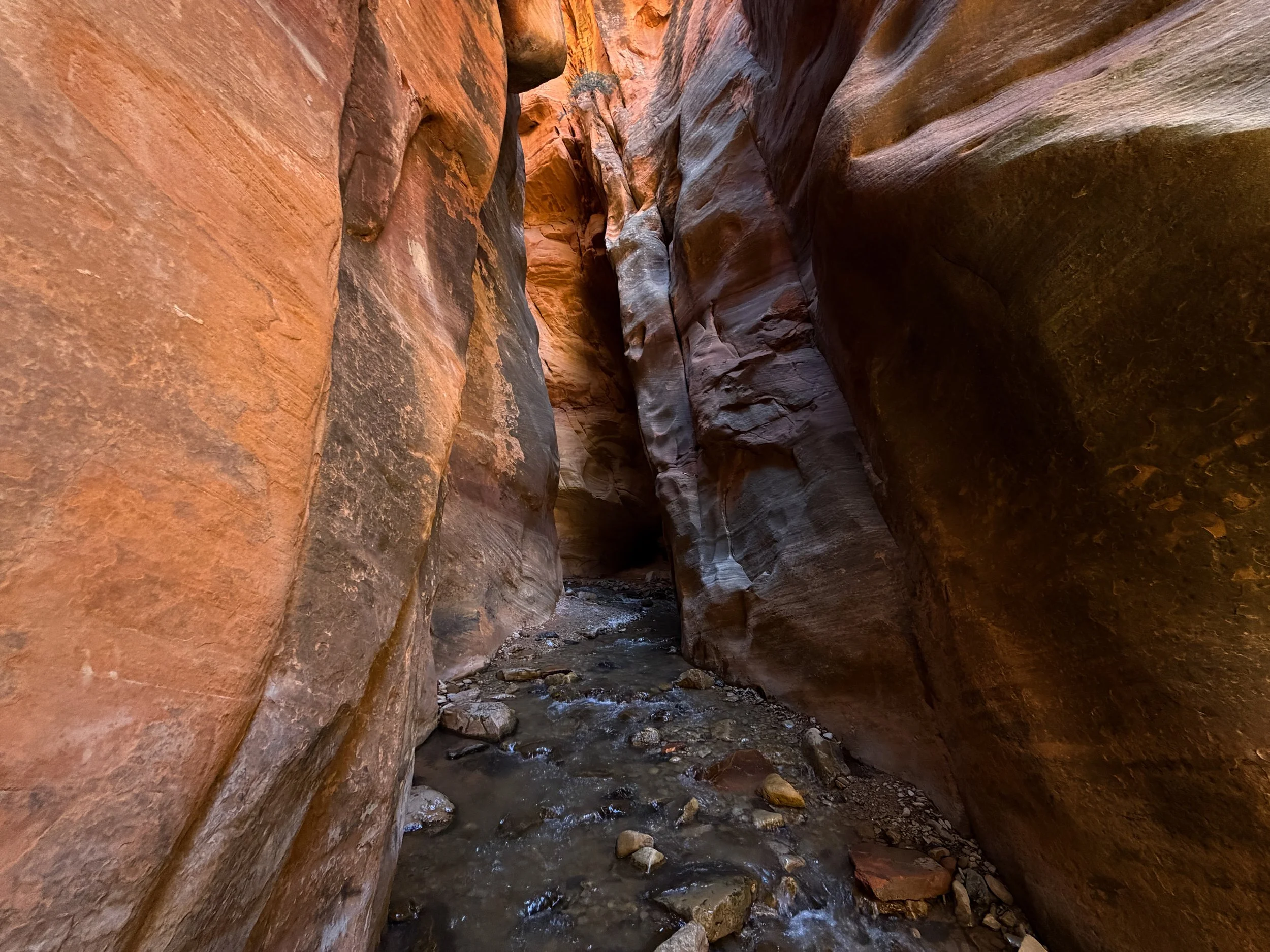 Kanarra Falls Trail Narrows Kanarraville Utah