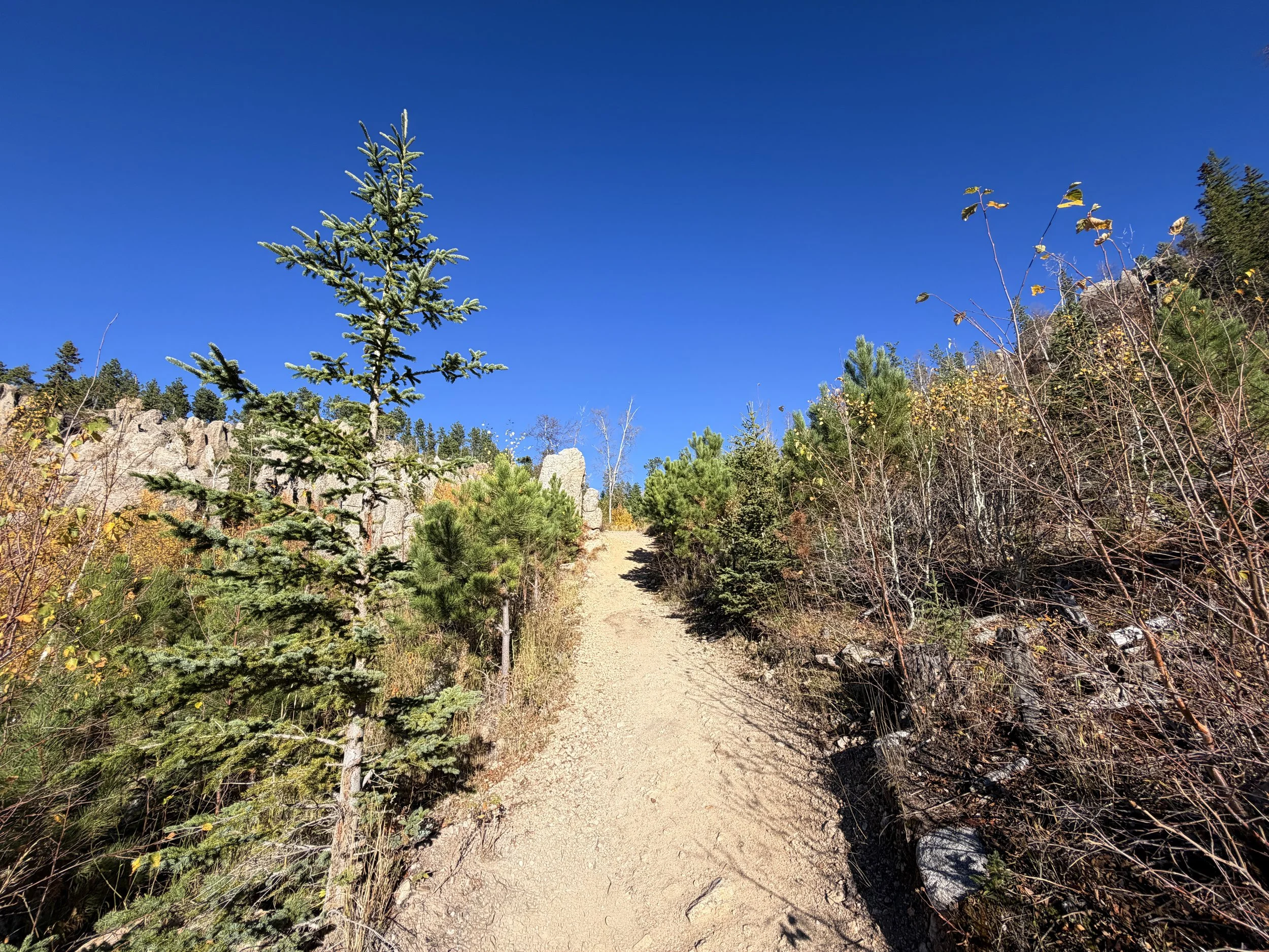 Little Devils Tower Trail Custer State Park Black Hills South Dakota